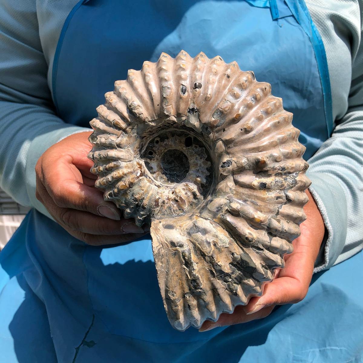 3.74LB Natural Beautiful Ammonite Fossil Conch Crystal Specimen Healing 5389