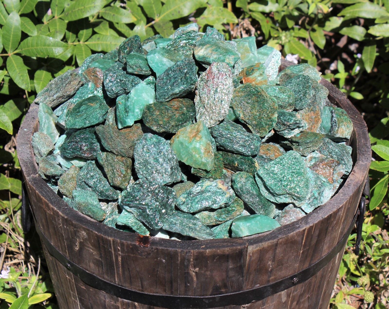 Fuchsite Natural Rough Stone Gift Box: 10 – 16 Pieces (Raw Fuchsite Crystals)