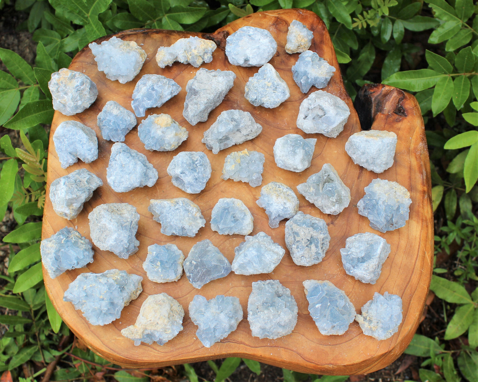 Mini Celestite Crystal Cluster Bulk Wholesale Lots (Sky Blue Celestite Druze)