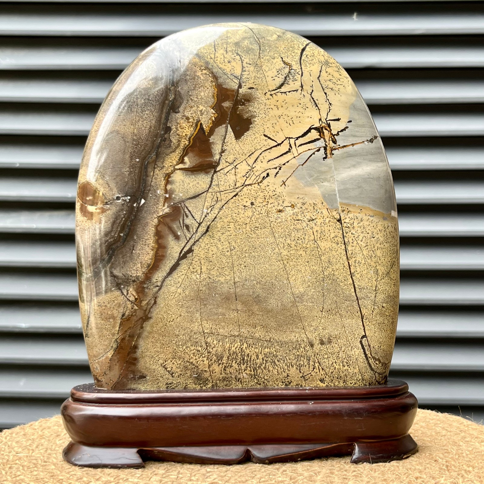 823 g Natural Pattern Stone Scenic Polished Display Art w/ Base