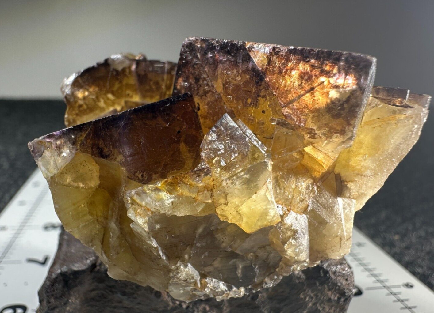 ➤ 2-1/2″ LIGHT PURPLE FLUORITE on AMBER FLUORITE Cave In Rock Illinois VIDEO➤473
