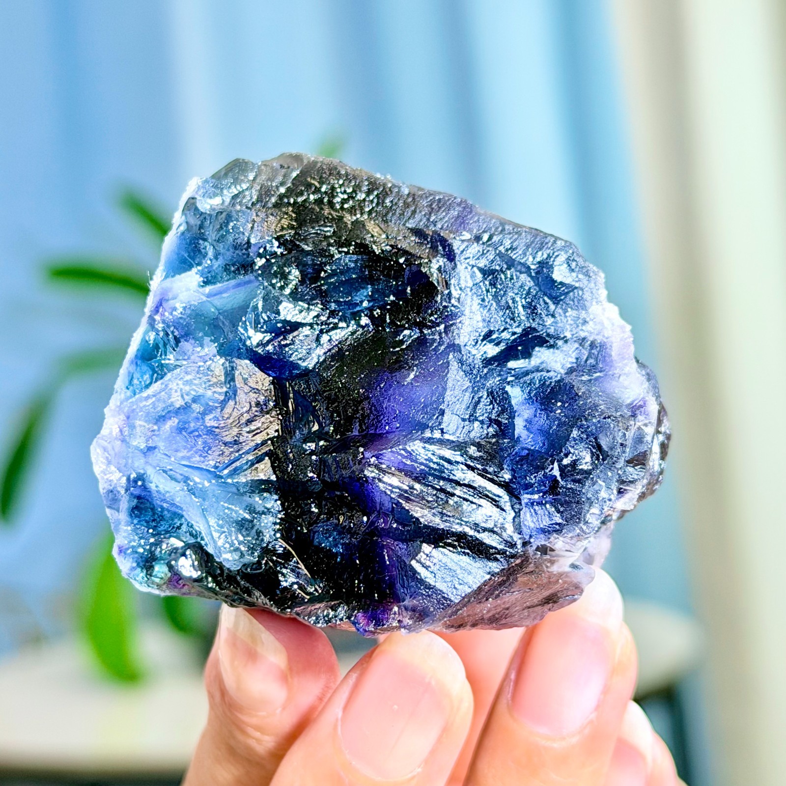 205G Rare transparent purple cubic fluorite mineral crystal sample/China