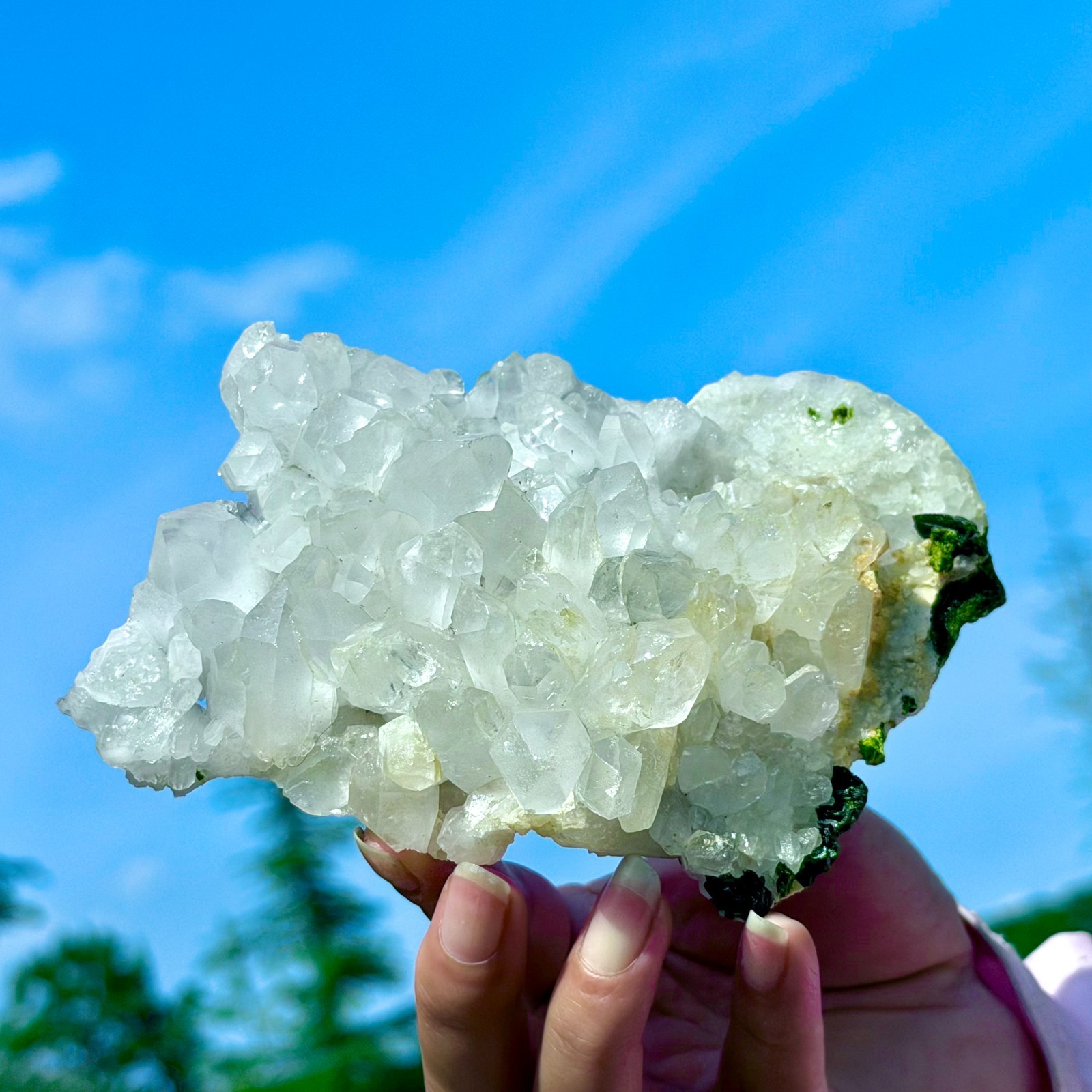 449G Rare!! Natural Clear Crystal with Epidote Garden Quartz Cluster Specimen