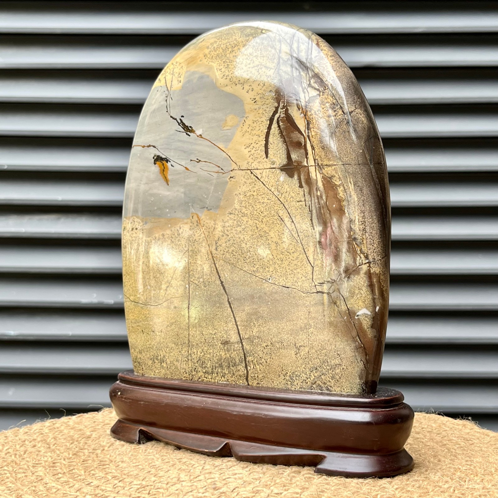 823 g Natural Pattern Stone Scenic Polished Display Art w/ Base
