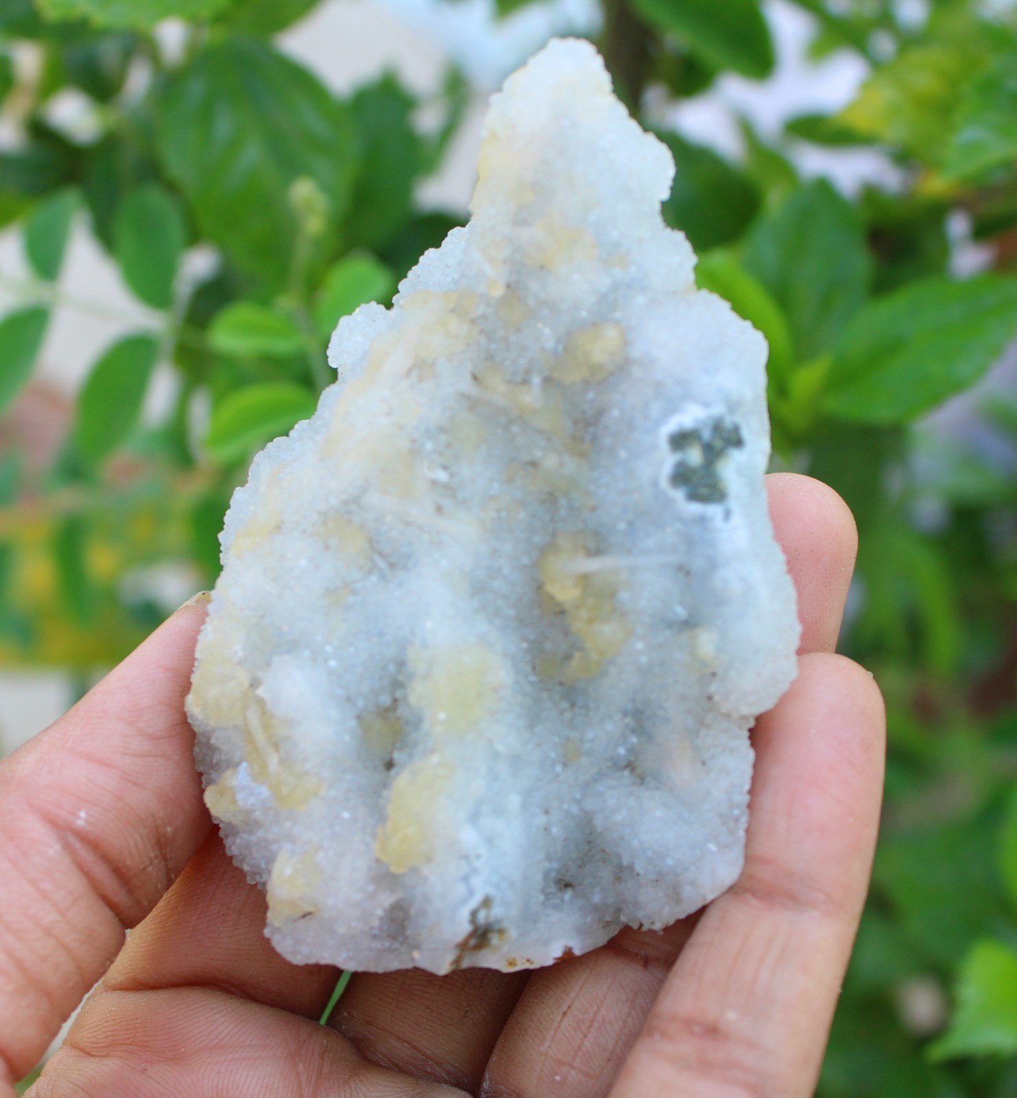 calcite on chalcedony coral matrix minerals specimen #A43