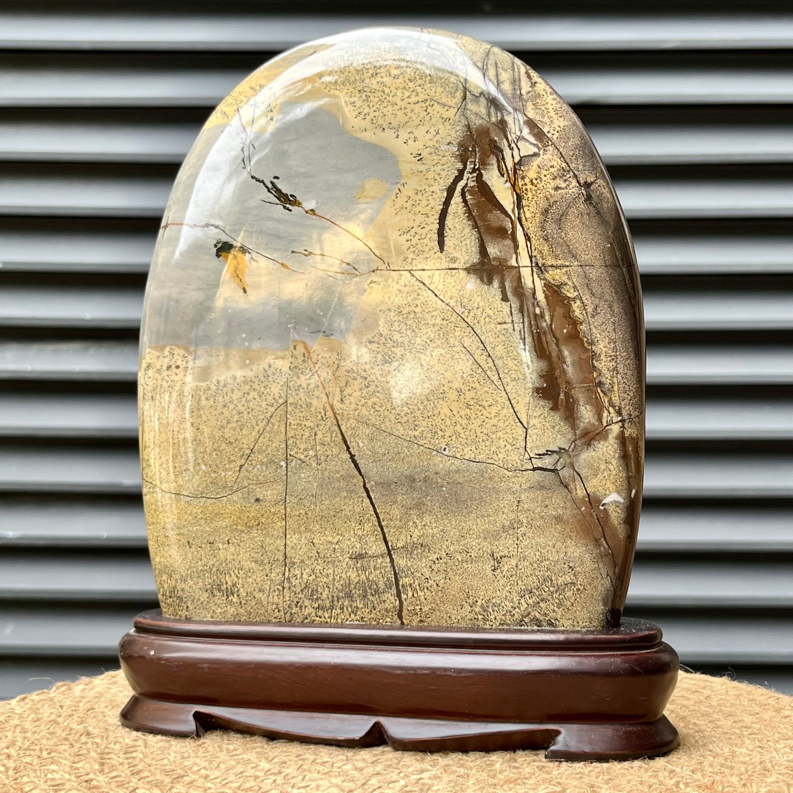 823 g Natural Pattern Stone Scenic Polished Display Art w/ Base