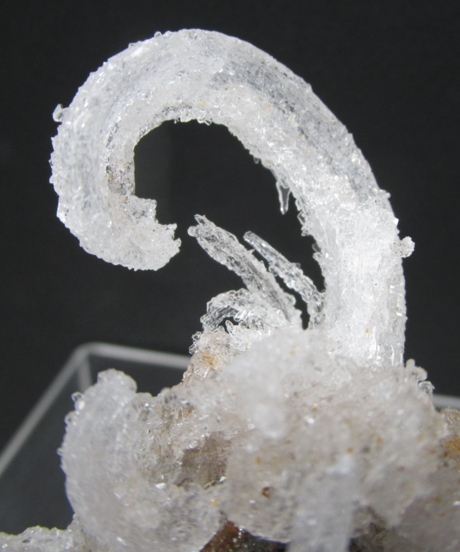 Awsome Frozen Kraken Ram’s Horn Selenite Mineral Specimen Morocco