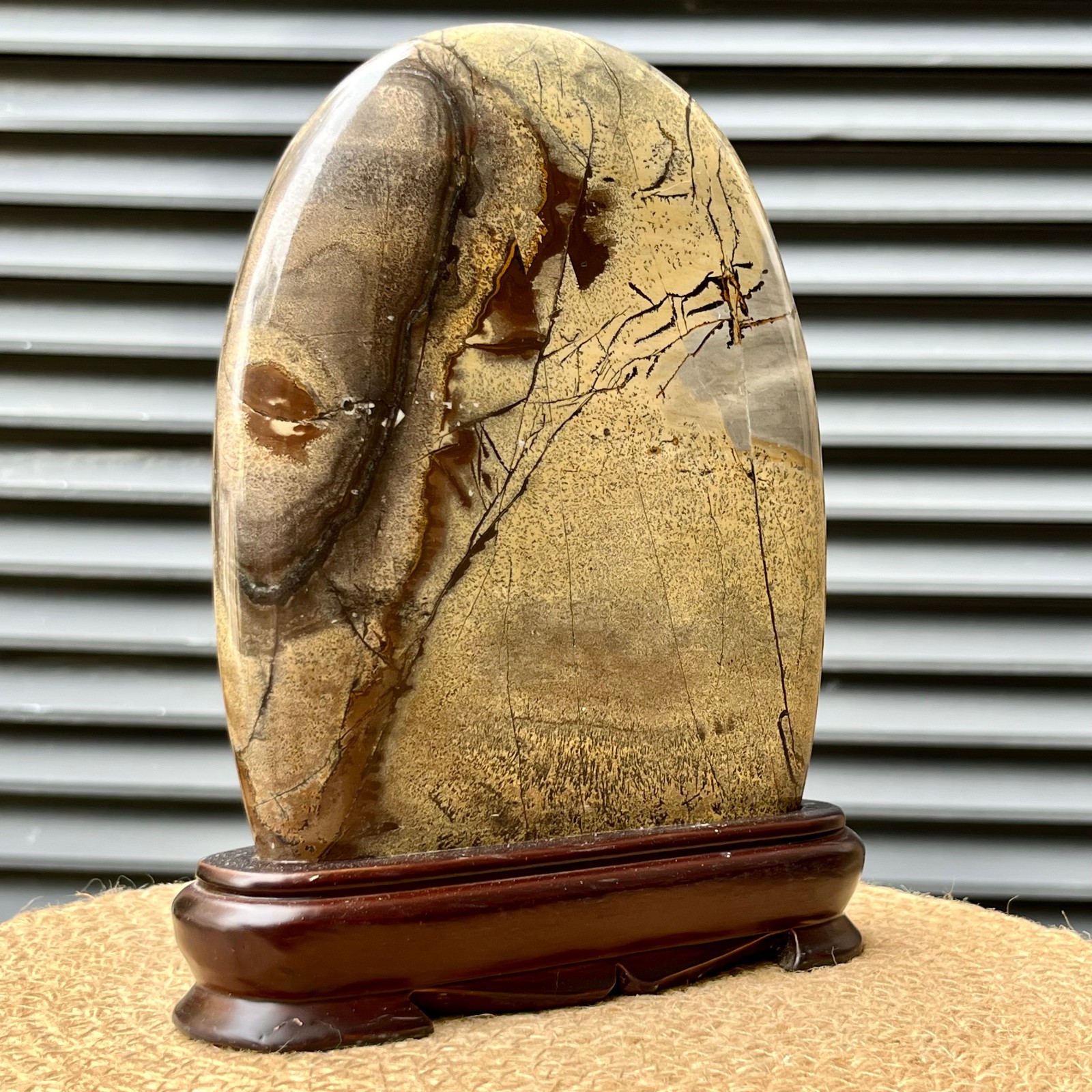 823 g Natural Pattern Stone Scenic Polished Display Art w/ Base