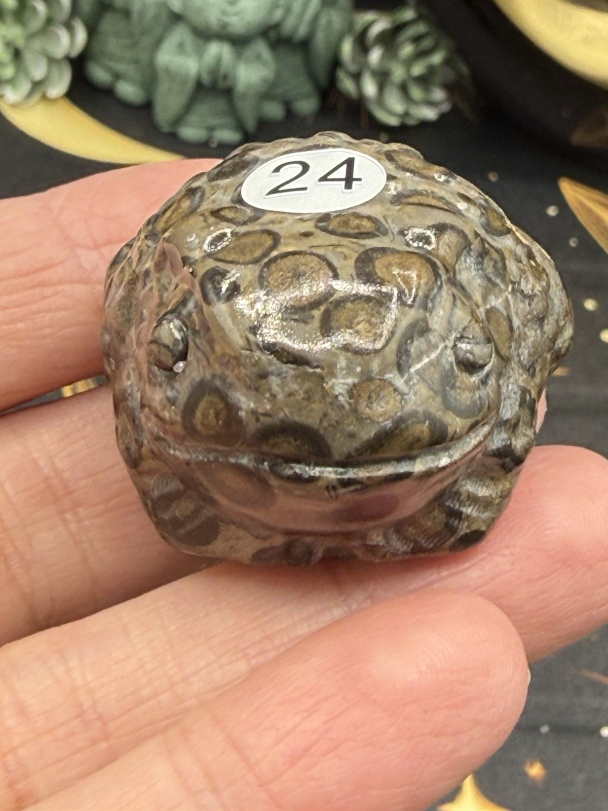 Natural Leopard Skin Japser Baby Toads O.M.G cute & Life like! Free shipping