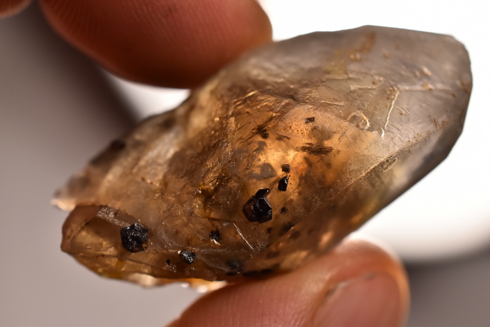 *AUSTRALIAN CASSITERITE* In Smokey Quartz 4.3cm 18.7g Natural Crystal Elsmore