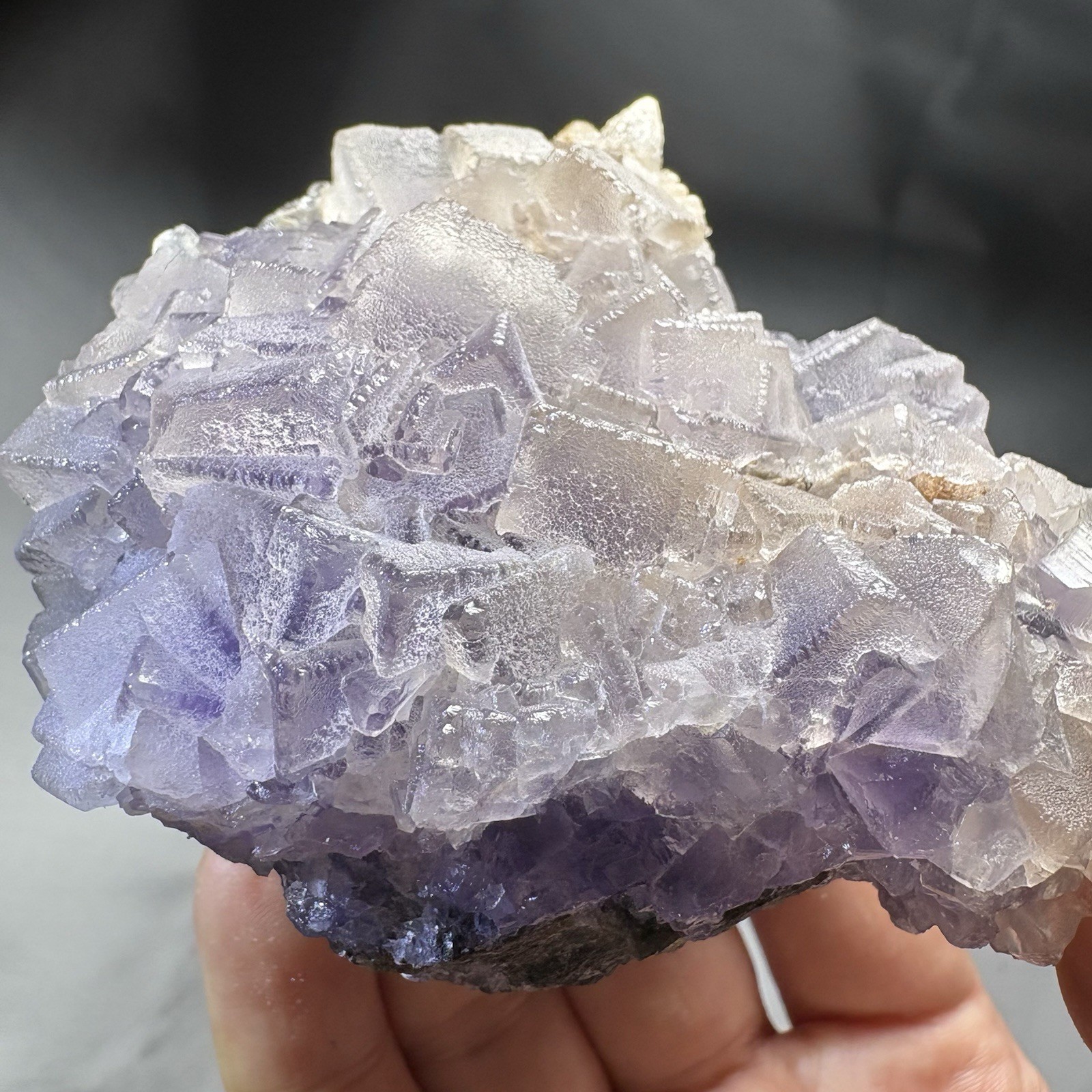 Natural Phantom Fluorite w/ Calcite Cluster Crystal Raw Mineral Dual Color UV