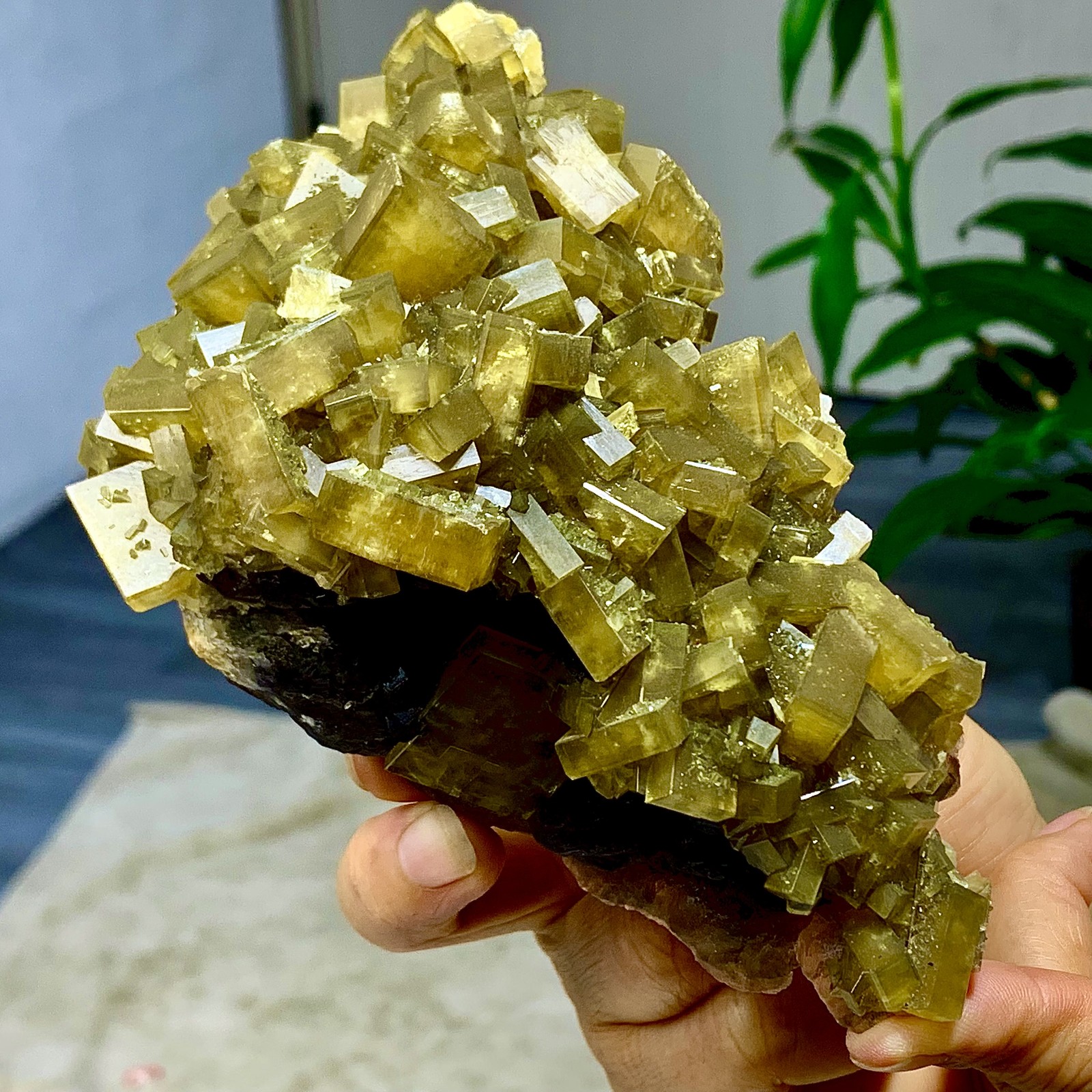 2.36LB Shiny Golden Cuboid Barite Crystal Based on the Purple Spherical Fluorite