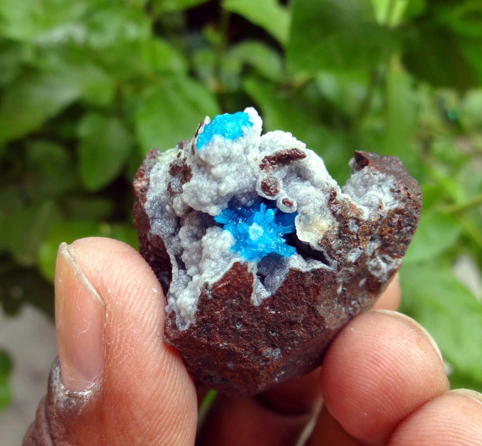 cavncite & matrix minerals specimen j-6