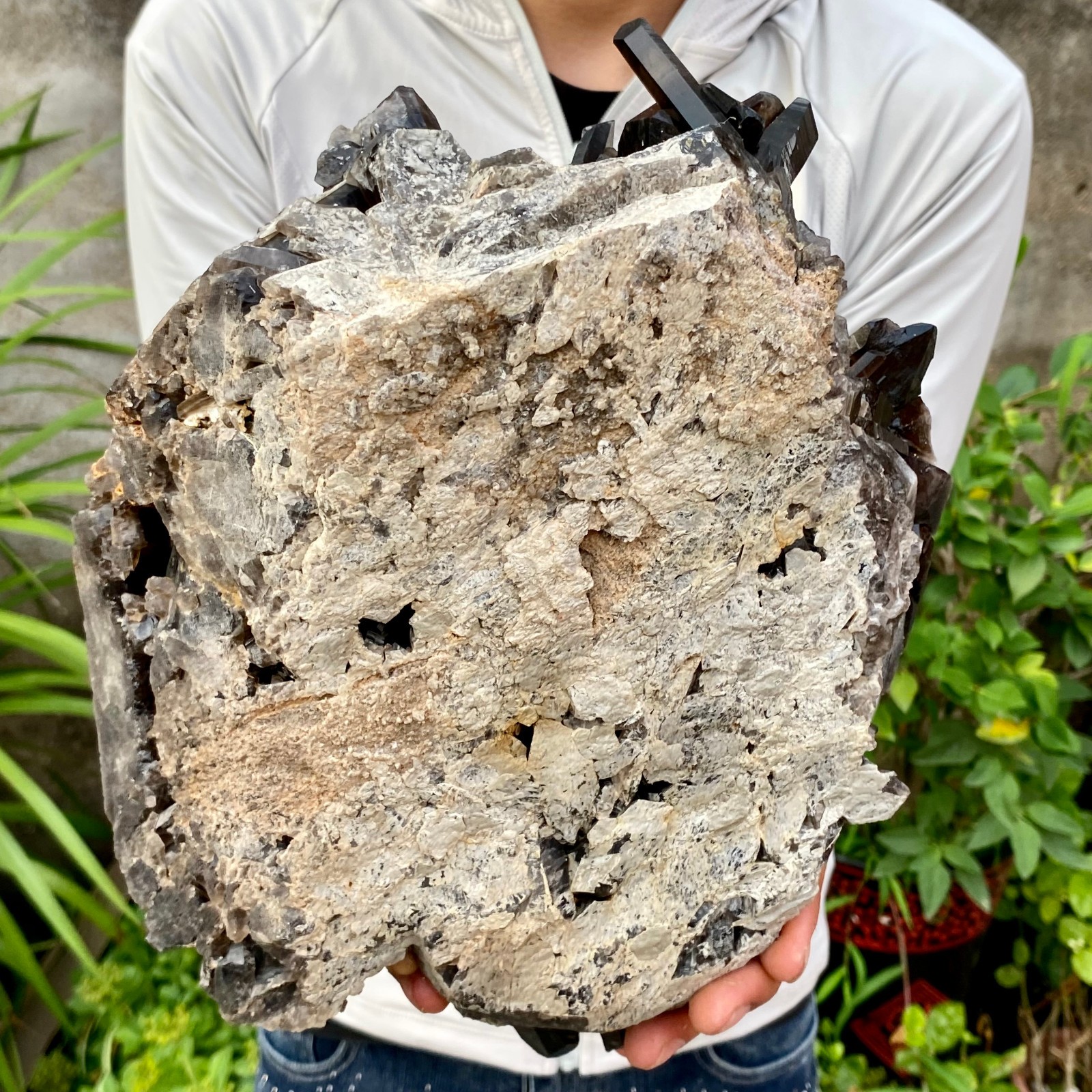 12.78LB Large Natural Smoky Black Quartz Cluster Crystal raw Specimen Healing