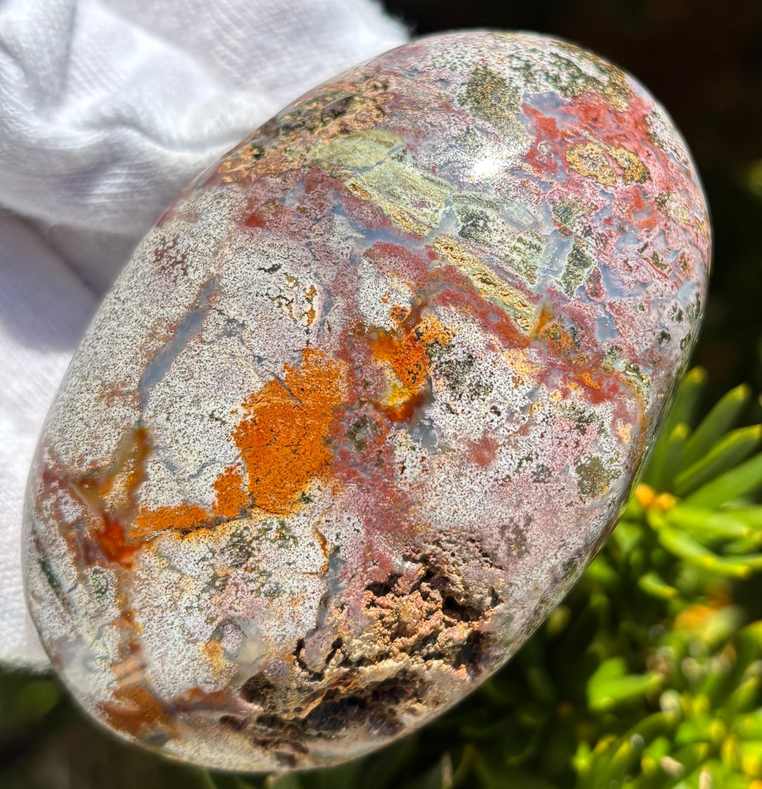 USA SALE 242g LOT OCEAN JASPER OJ PALMSTONES PALM STONES Palm Stone