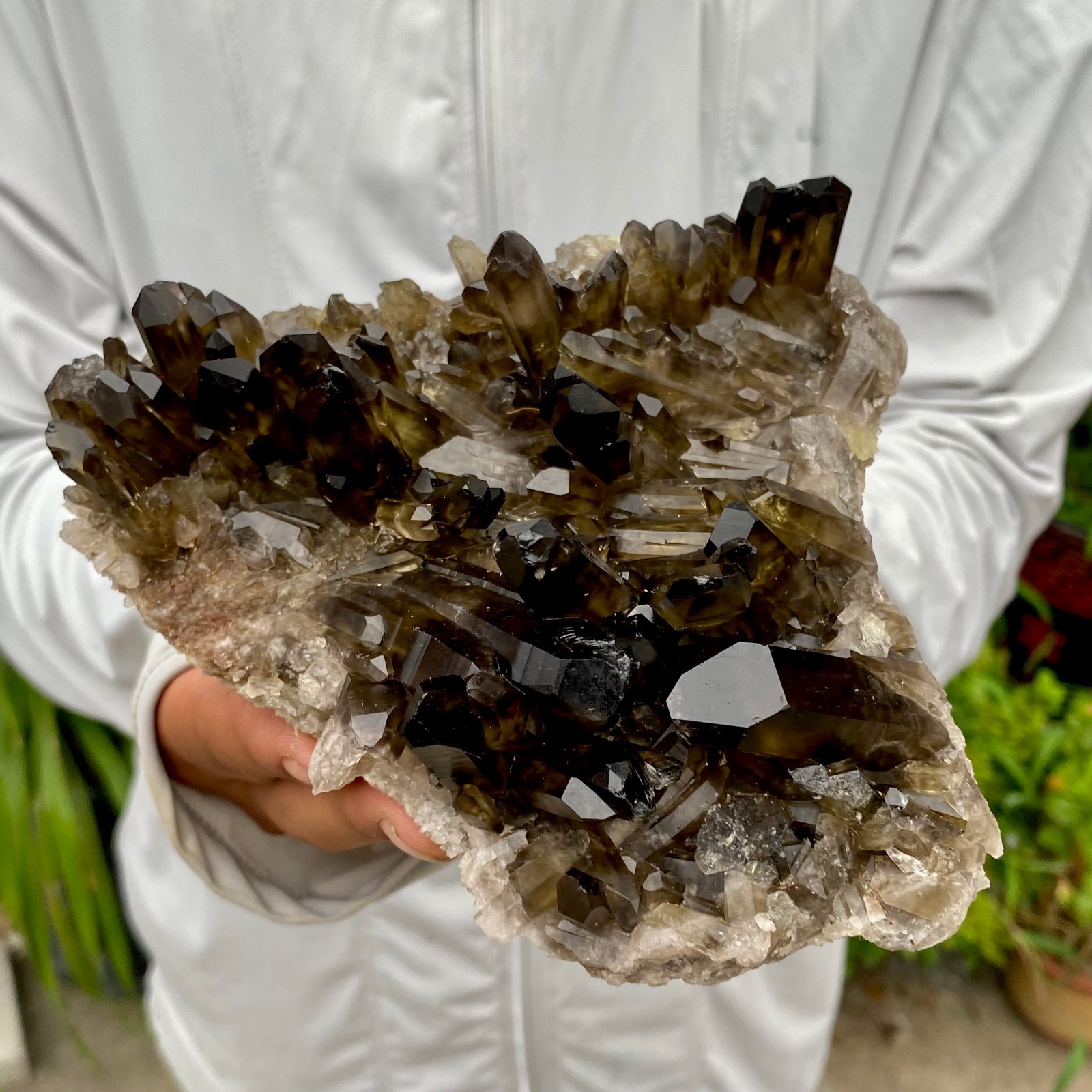 1.97LB Natural Black Smoky Quartz Crystal Cluster Raw Mineral Specimen