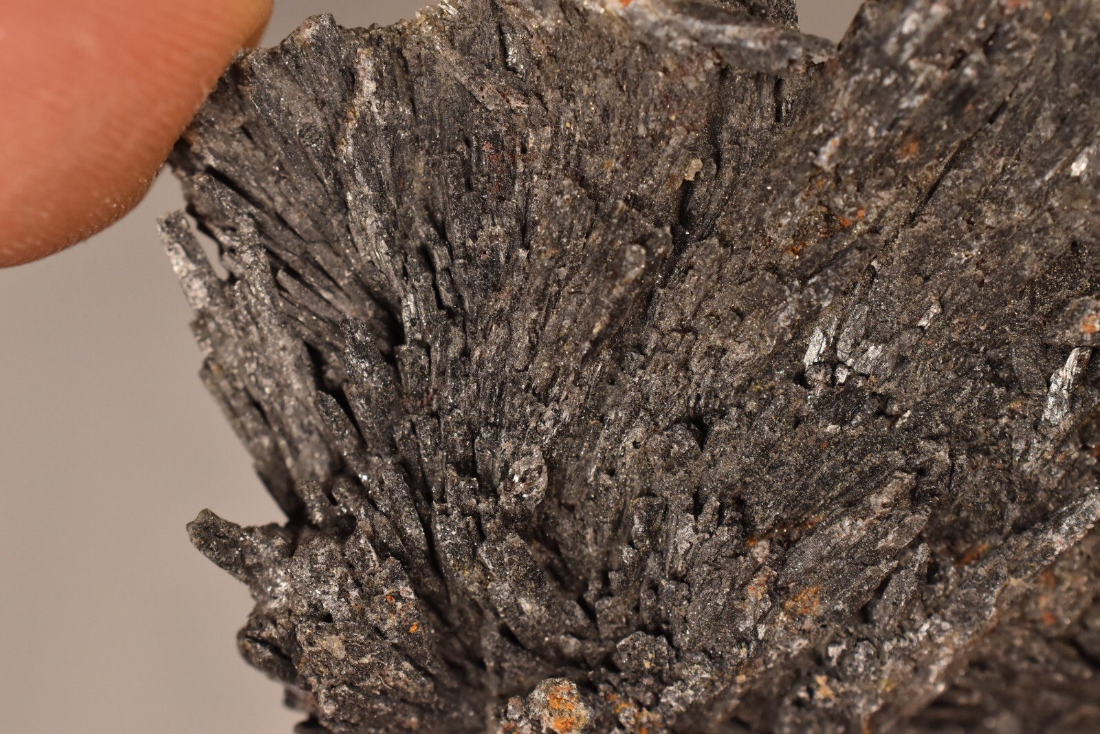 *BLACK KYANITE* CRYSTAL 6.8cm 24g Natural Specimen Healing Grounding Energizing