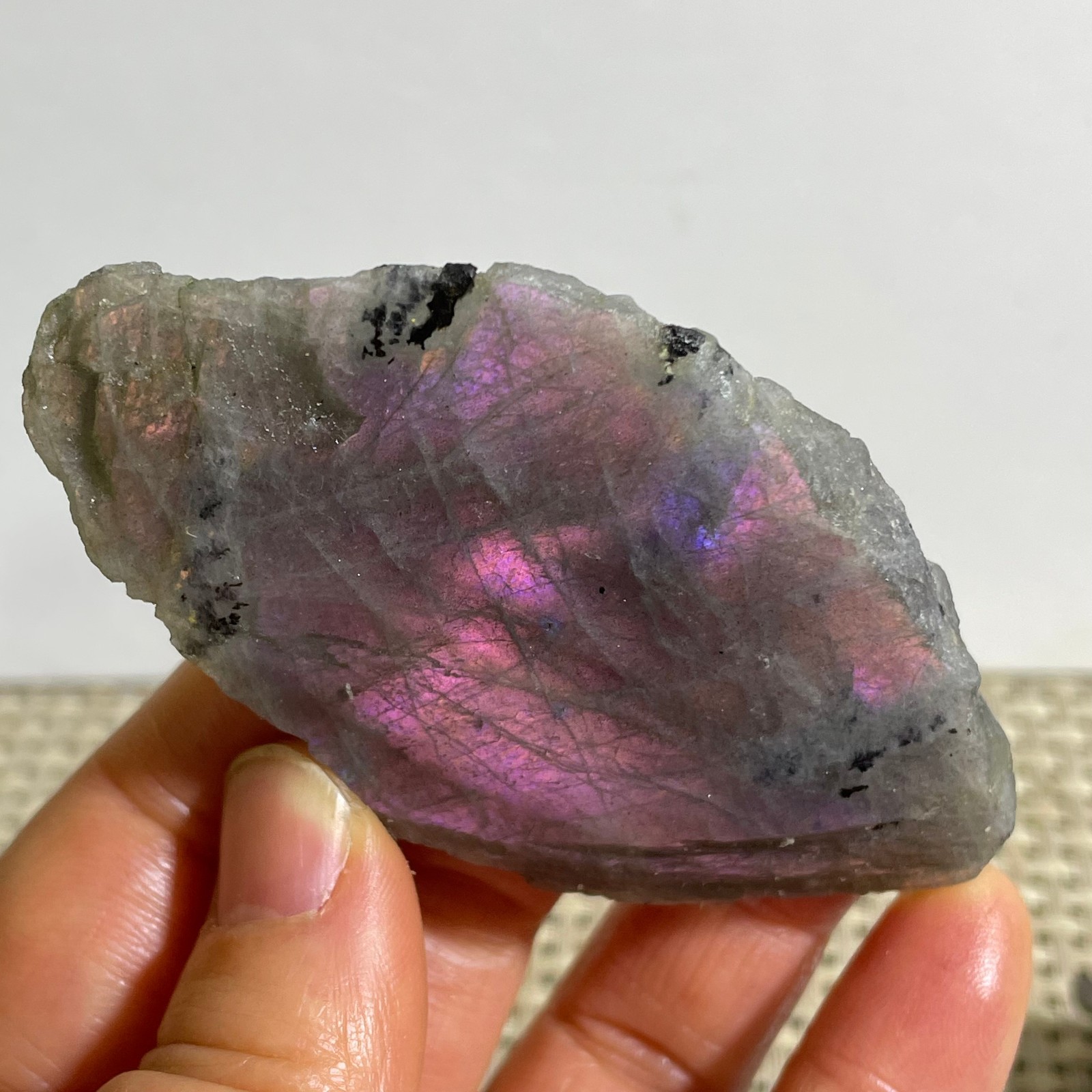 Rare Flashy Labradorite Slab Crystal Rough Gemstone Raw Labradorite Rough 45g