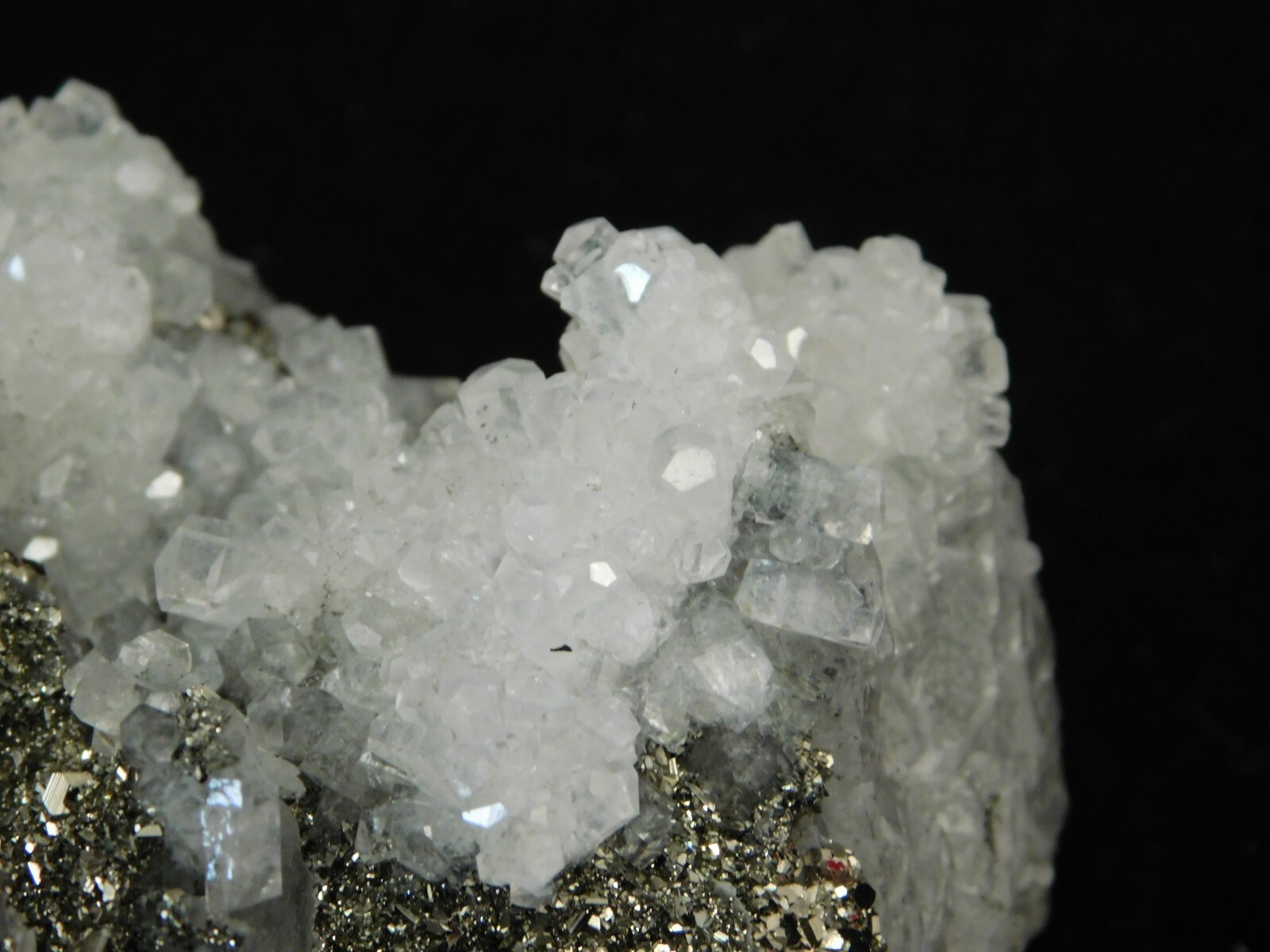 BIG! Pyrite Crystal Cluster on DOGTOOTH Calcite Crystals! From Mexico 1202gr