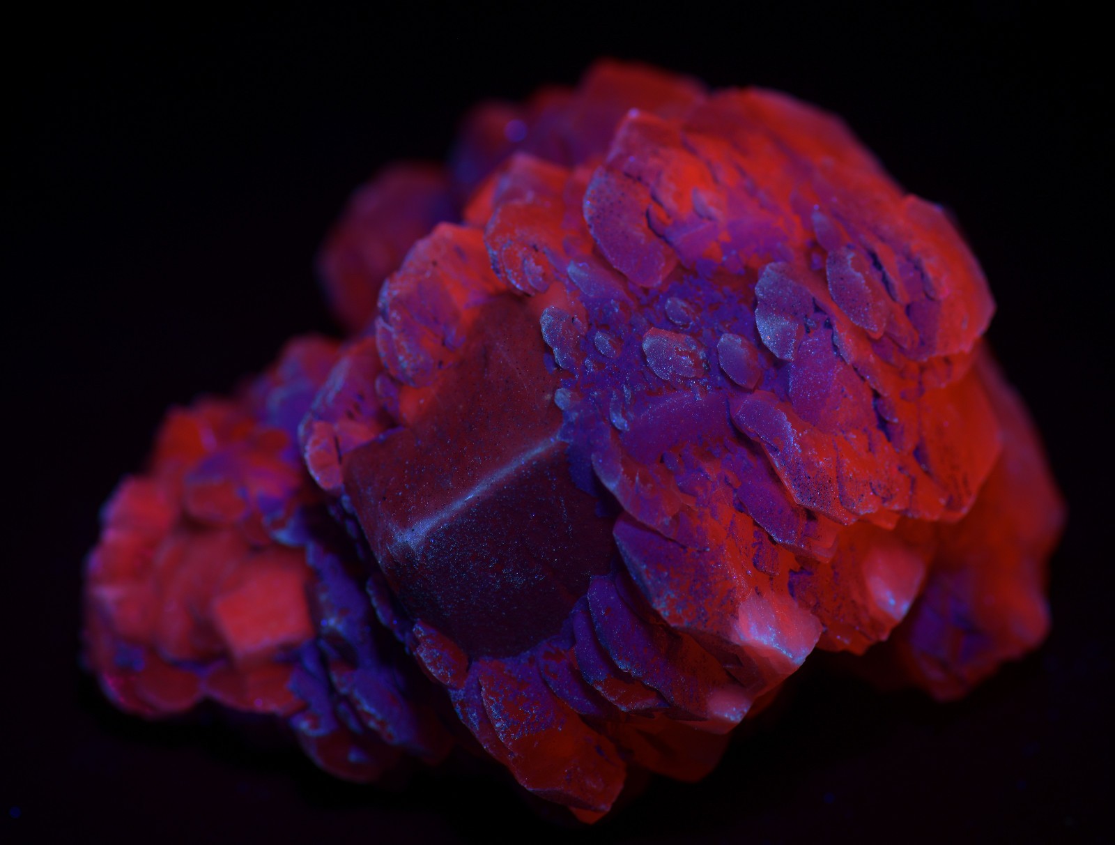Poker-chip Calcite, excellent specimen, fluorescent. Charcas, Mexico. 217 grams.