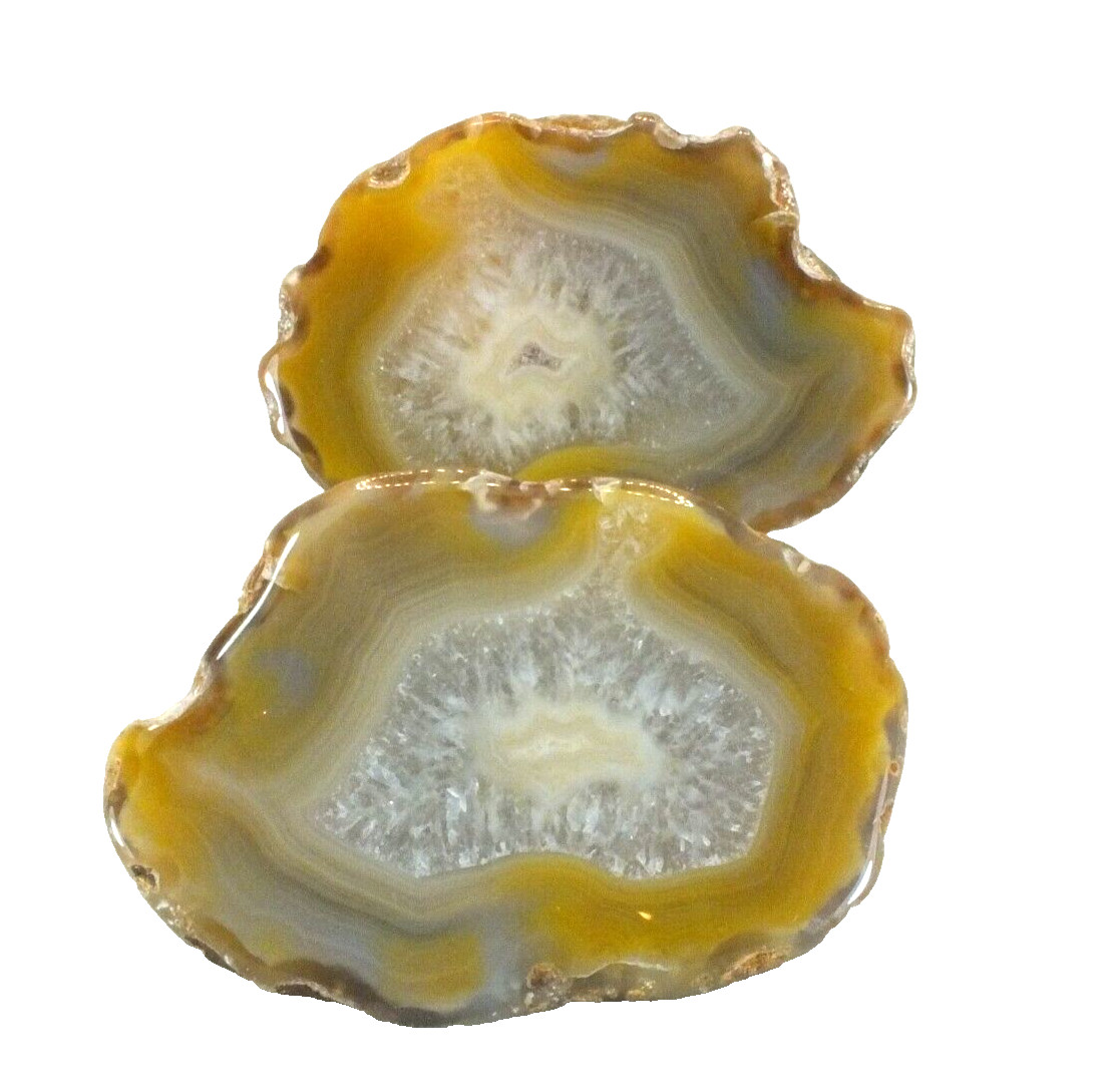Agate Nodule, polished halves Pair Agate Creek Queensland Australia (EA9586)