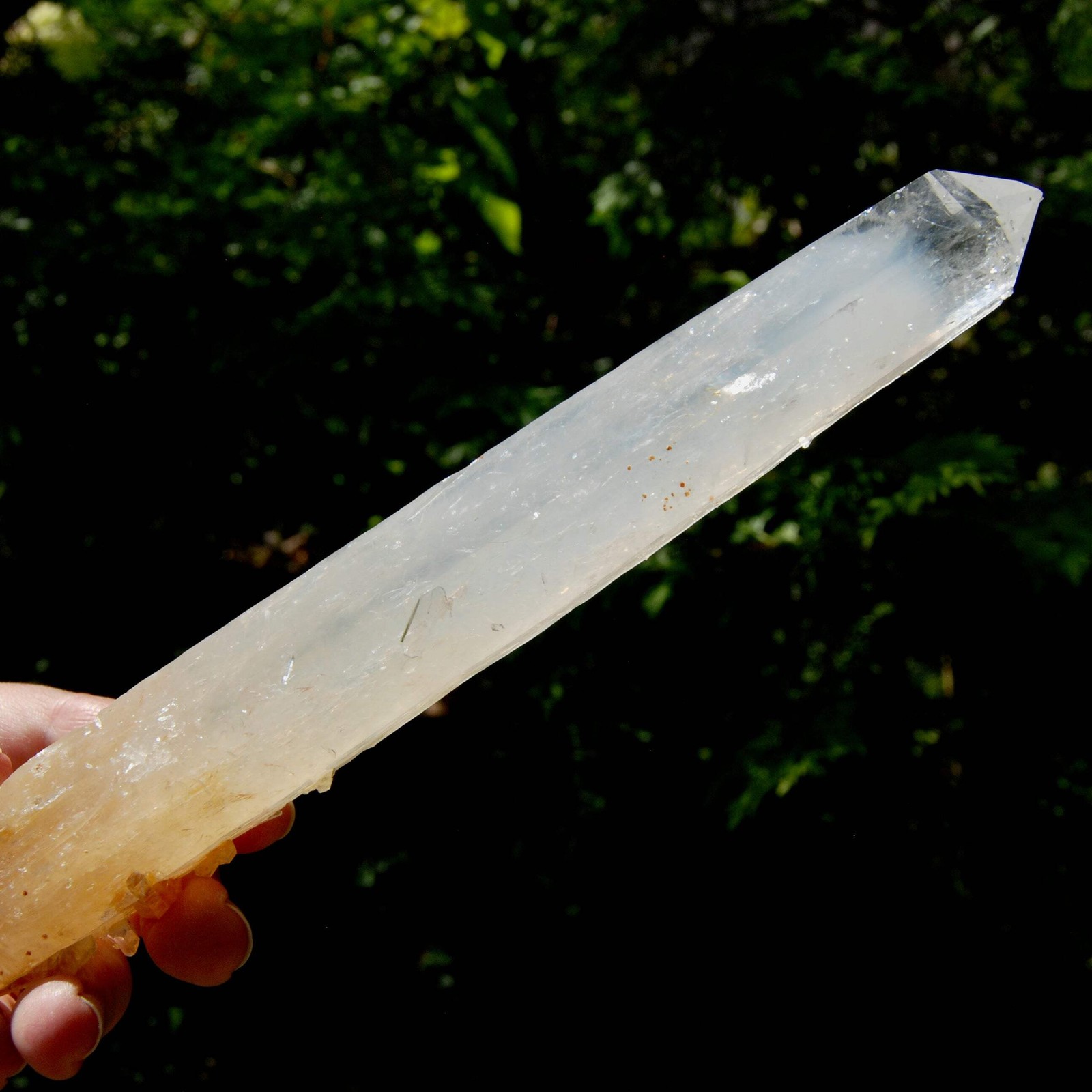 XL AAA Colombian Blue Smoke Lemurian Quartz Crystal Starbary, 8.5″ 244g Record K