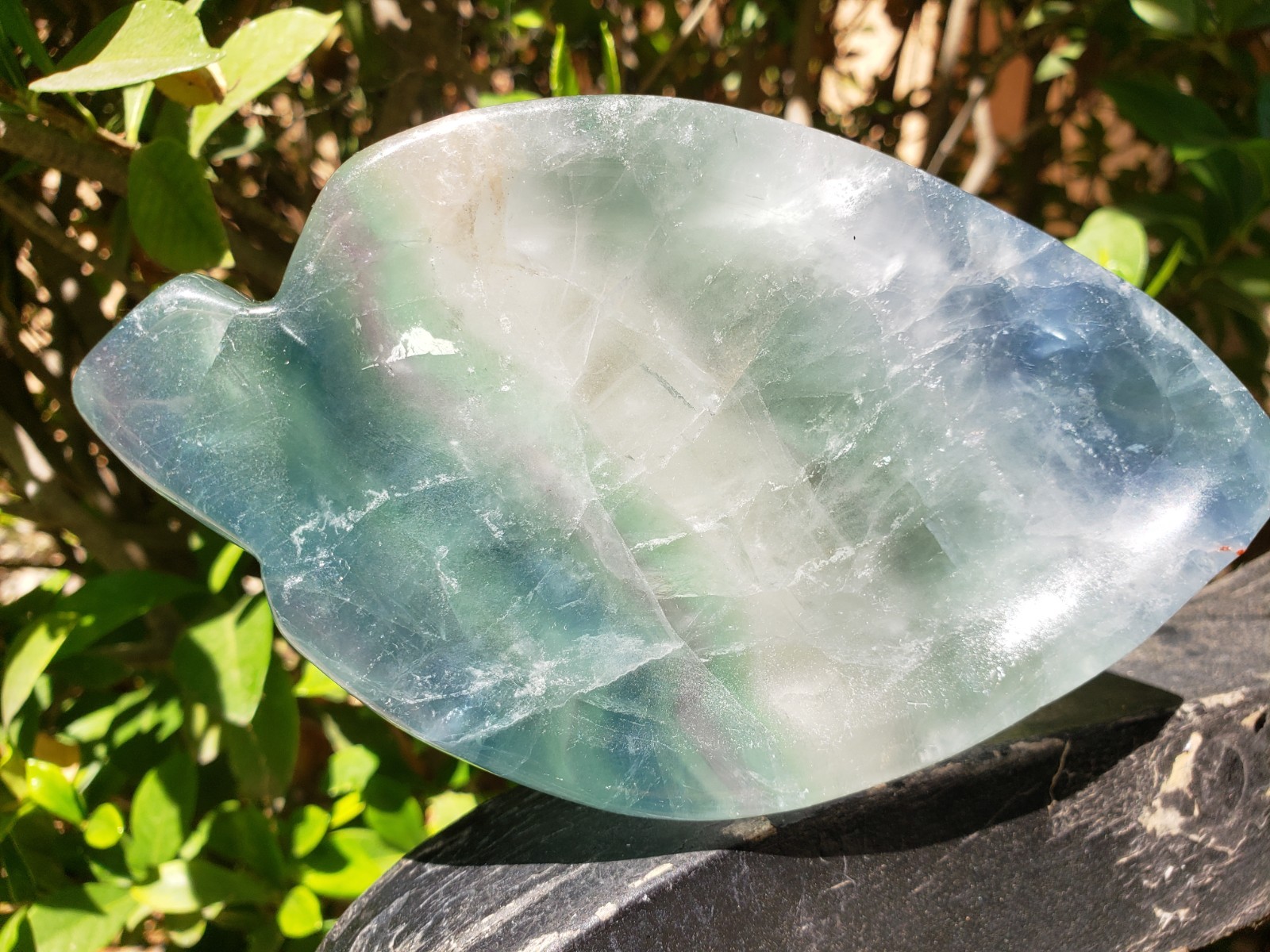 Thick Green Purple Fluorite Quartz Crystal Leaf-shaped Bowl Rainbow Dendritic UV