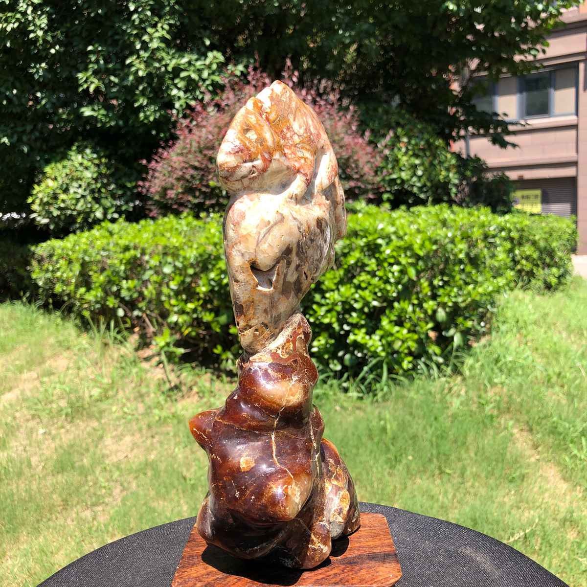 3.98LB TOP Natural Beautiful ammonite fossil conch Crystal specimen heals