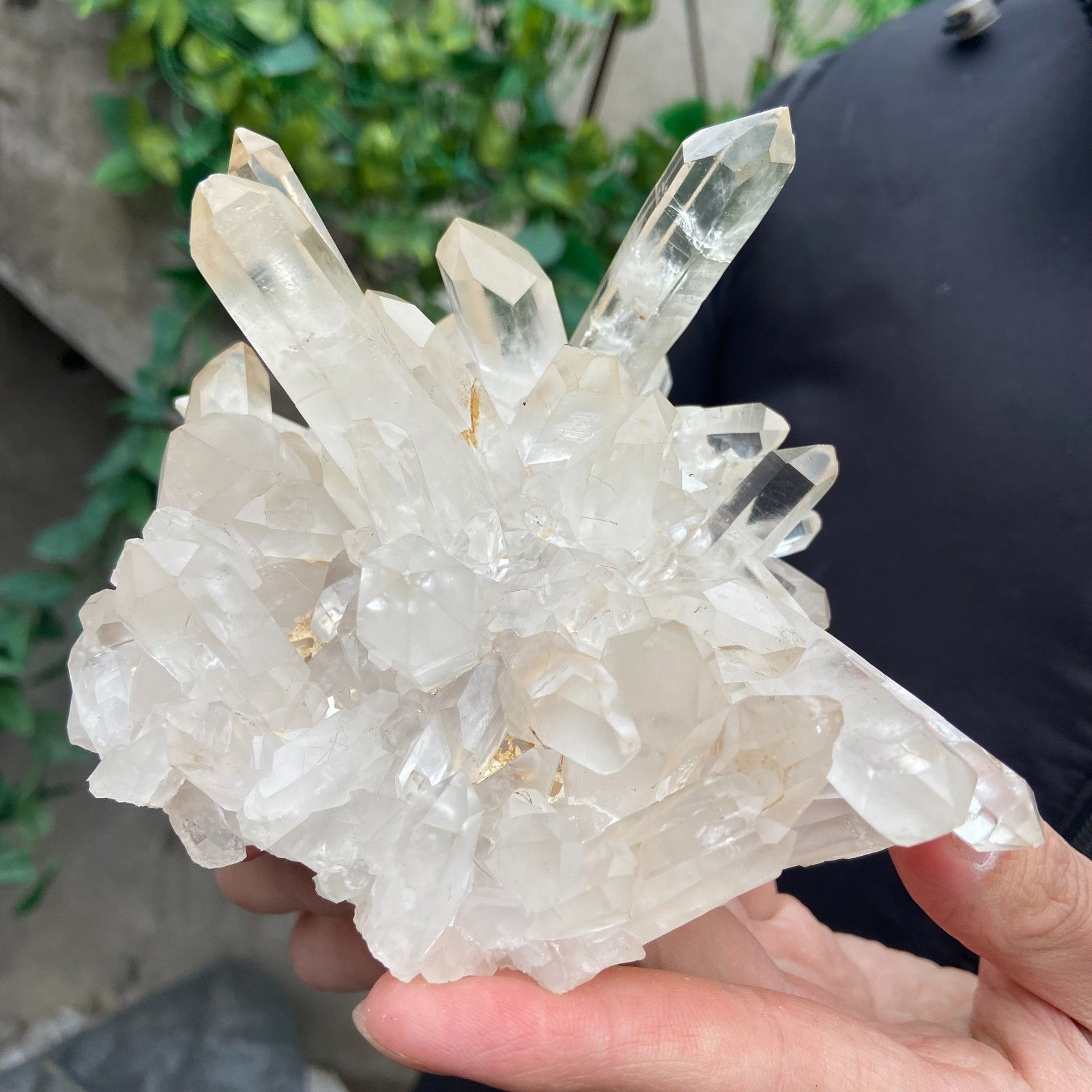 1.6lb Natural clear white quartz crystal cluster mineral specimen healing