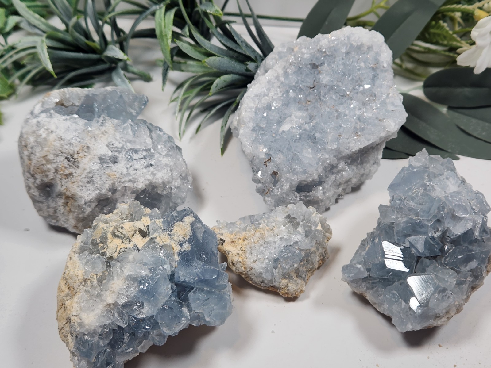 5pc Celestite 2 Ib Lot Crystal Clusters From Madagascar. Exact Specimens Cellot2