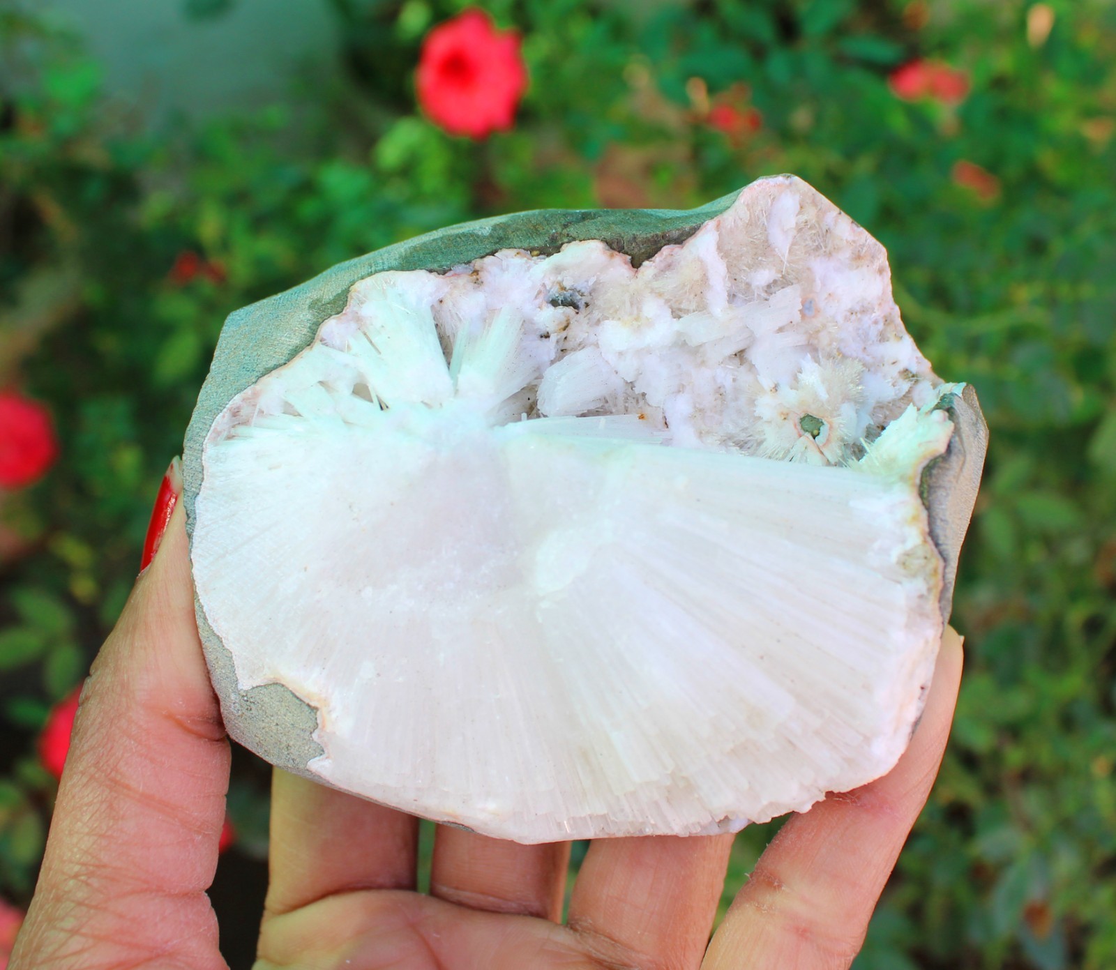 Scolecite In Geode Minerals Specimen#A9