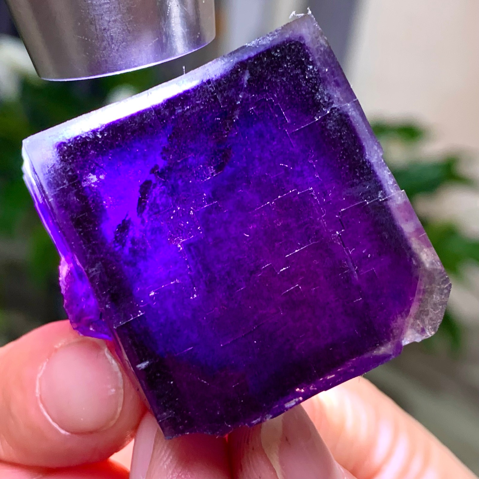 59G Inner Mongolia Natural Fluorite Purple Edged Cube Crystal Mineral Specimen