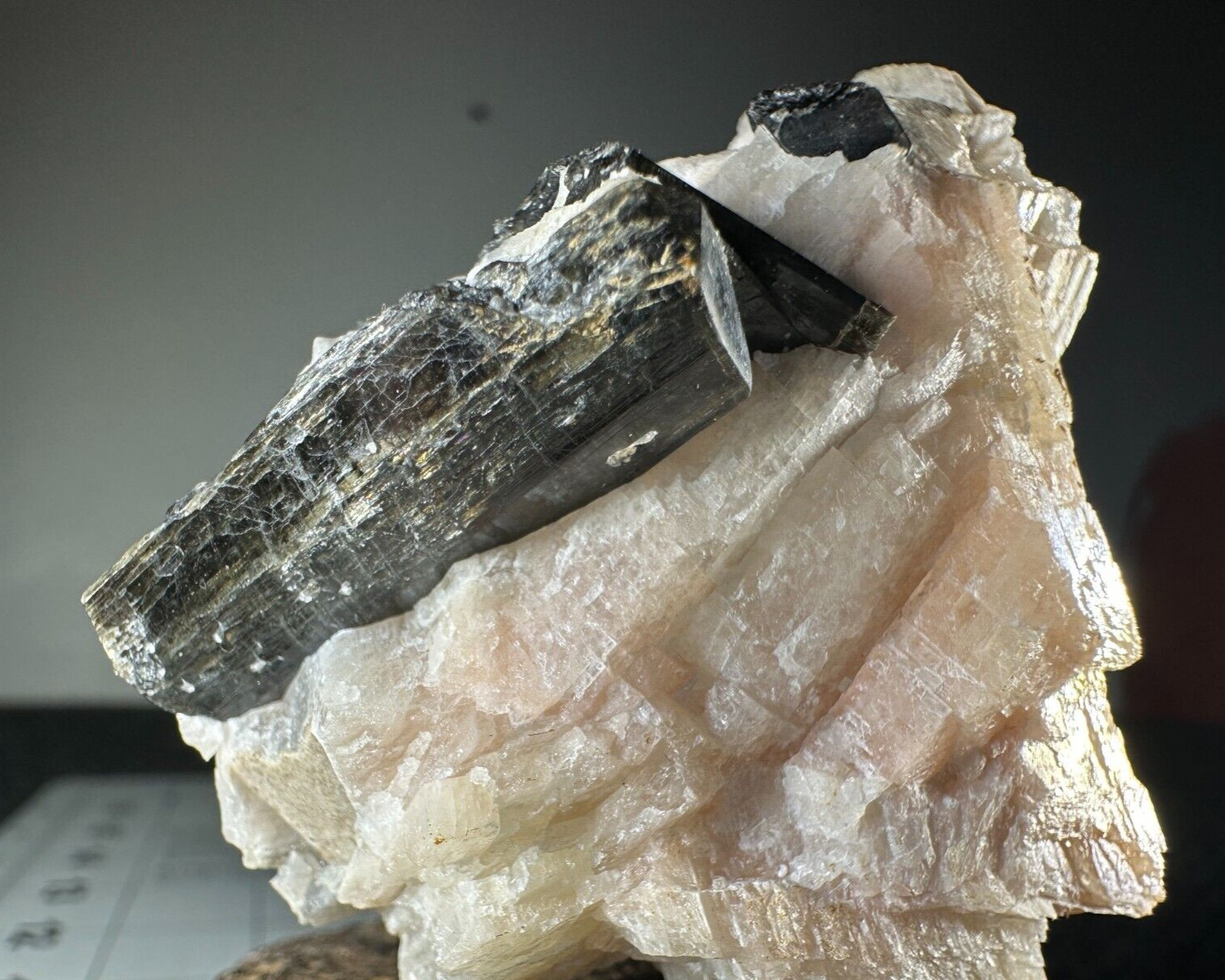 ➤2-3/4″ EDENITE CRYSTALS in CALCITE – Wilberforce Ontario Canada VIDEO➤598