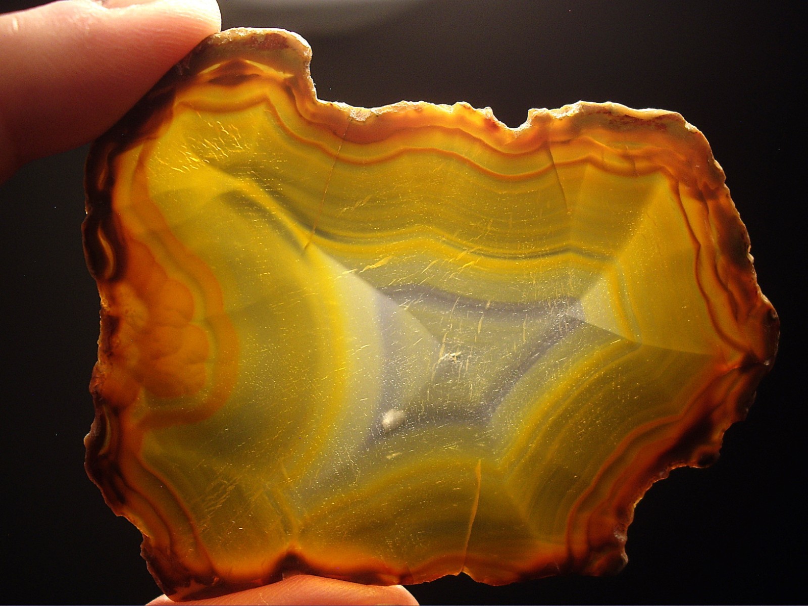 Rare Polished “Iris Agate” Slice with Backlight Color Bands from Indonesia 13.3g