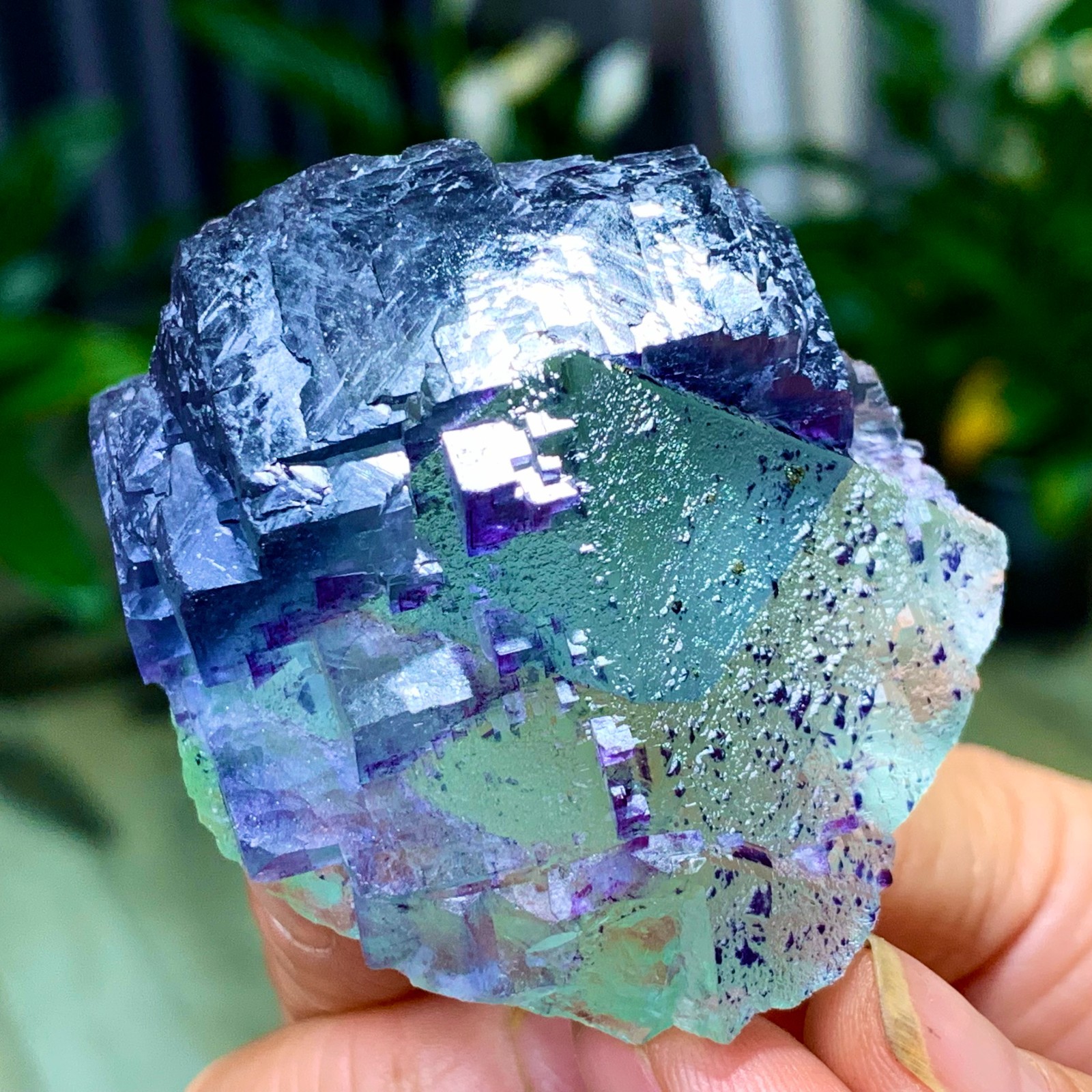 123G Rare transparent green purple cubic Zhejiang fluorite mineral sample