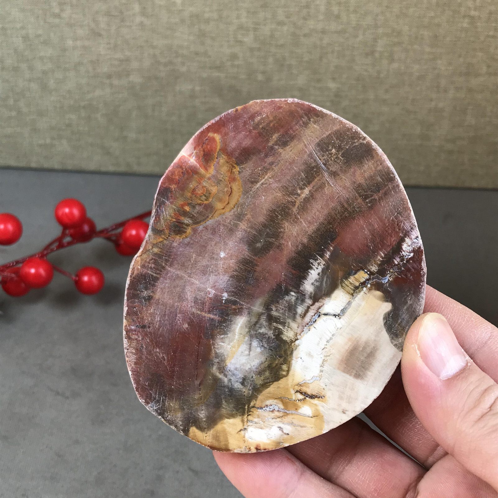 97mm natural Beautiful Petrified Wood Crystal Slice mineral specimen 247g A5426