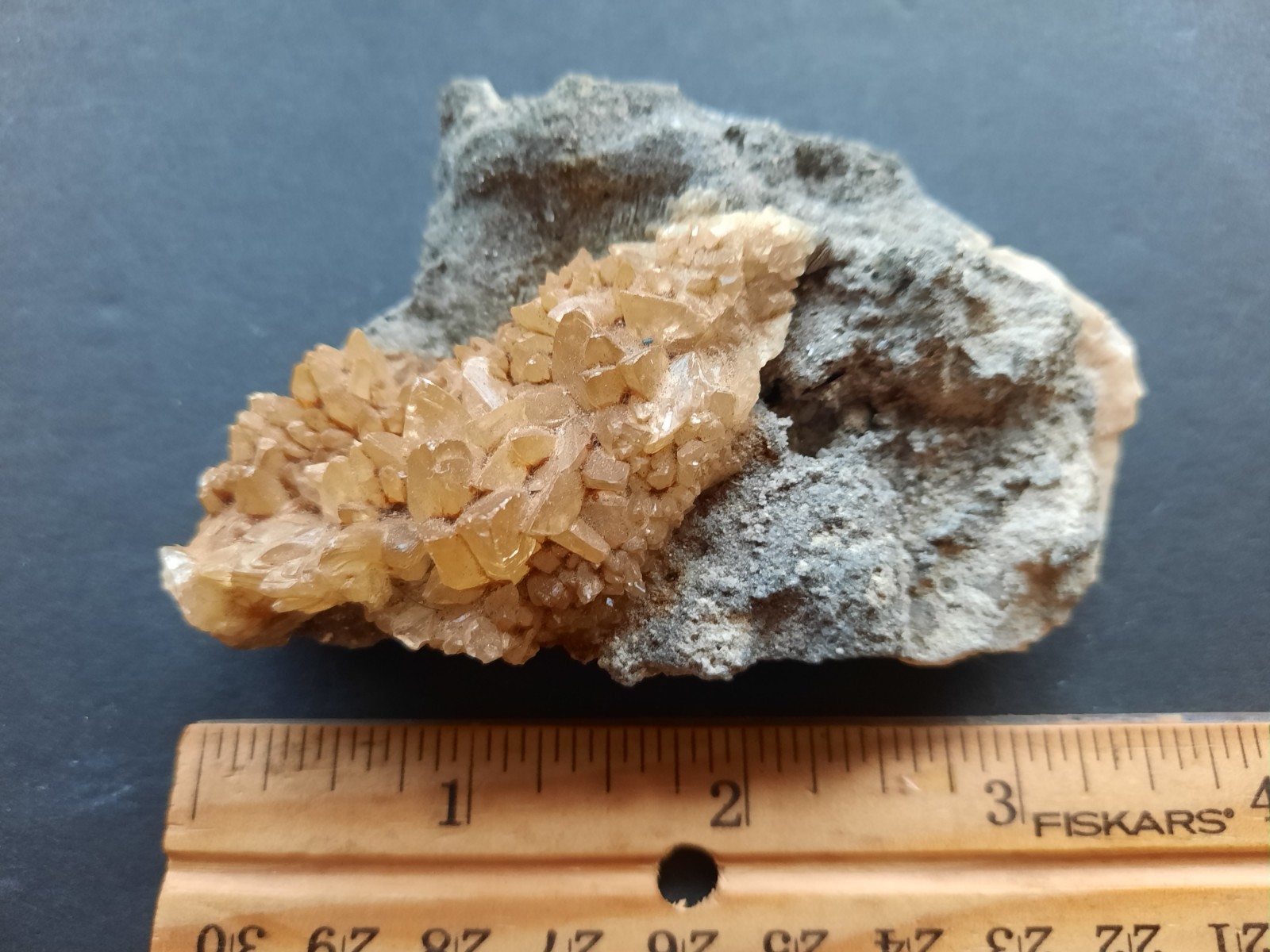 Golden Yellow Honey Calcite Crystals on Fossil Mangrove Clam Shell Rucks Pit