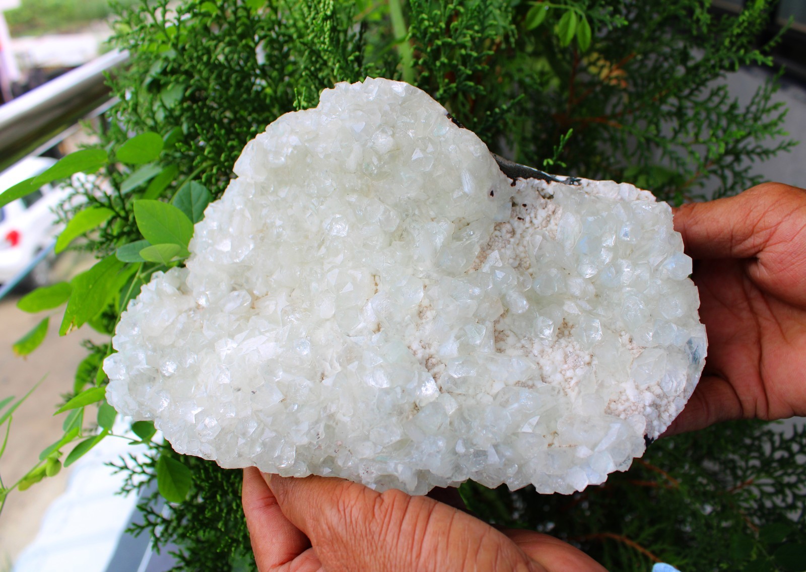 Light Green Apophyllite Crystals On Matrix Mineral Specimen