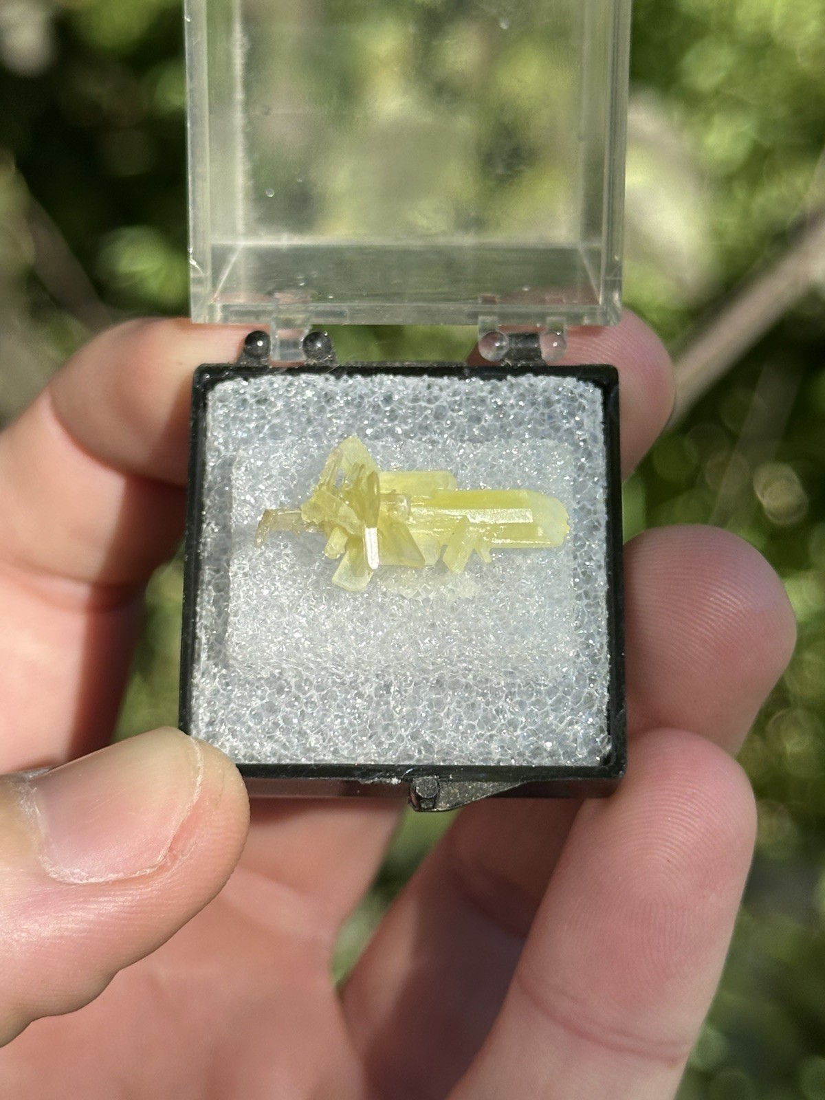 Chrome Cerussite, Dundas Extended, Tasmania, Australia. Ex Jordi Fabre