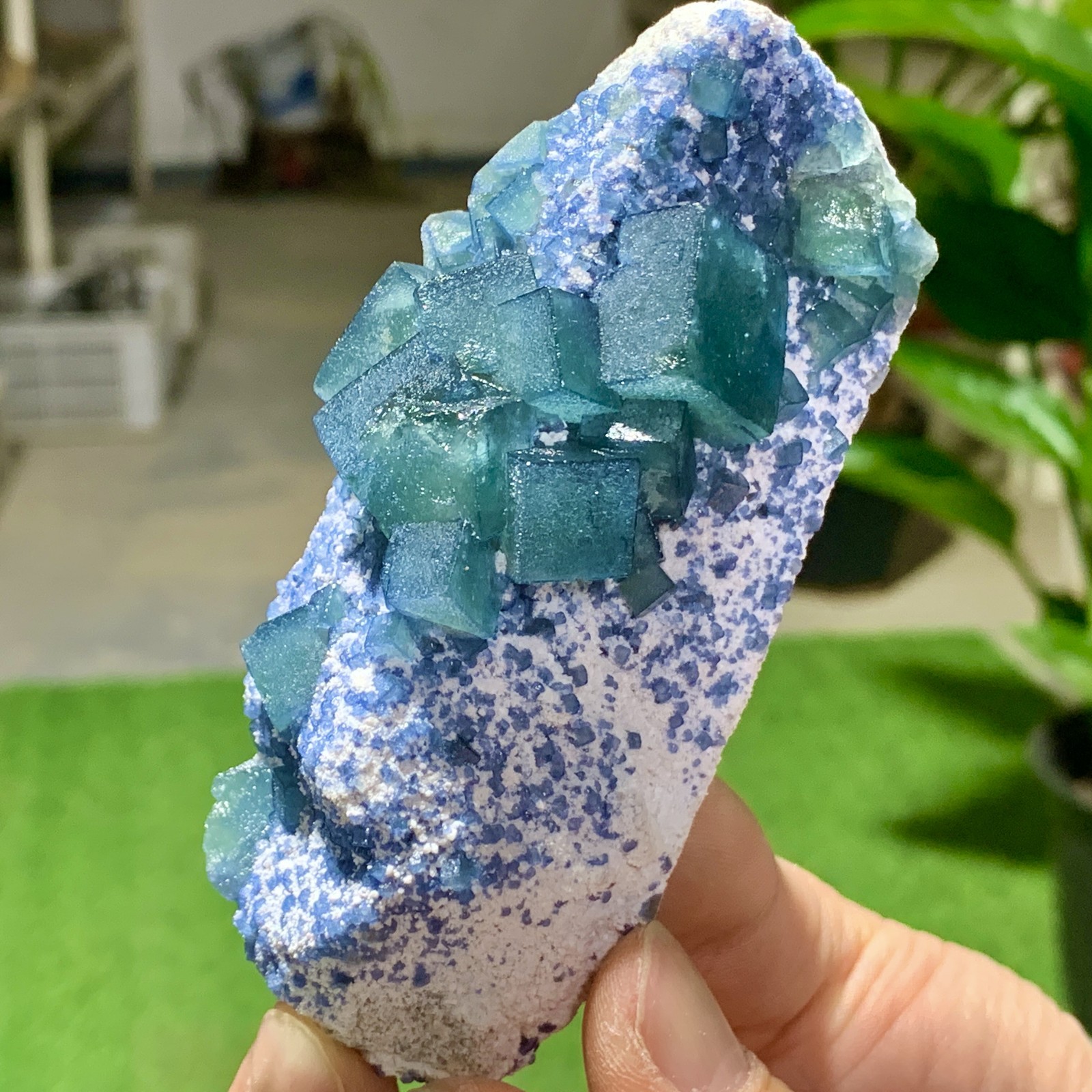 199G Rare transparent blue green cubic fluorite mineral crystal sample/China