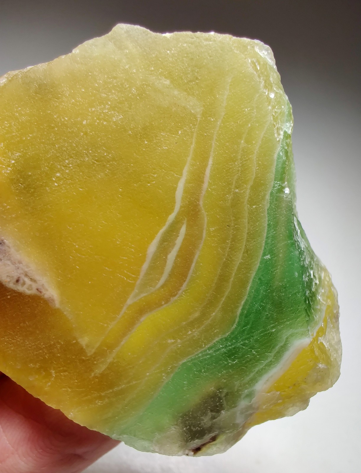 Rainbow Fluorite, cut slab, great color! fluorescent. Argentina. 86 grams.