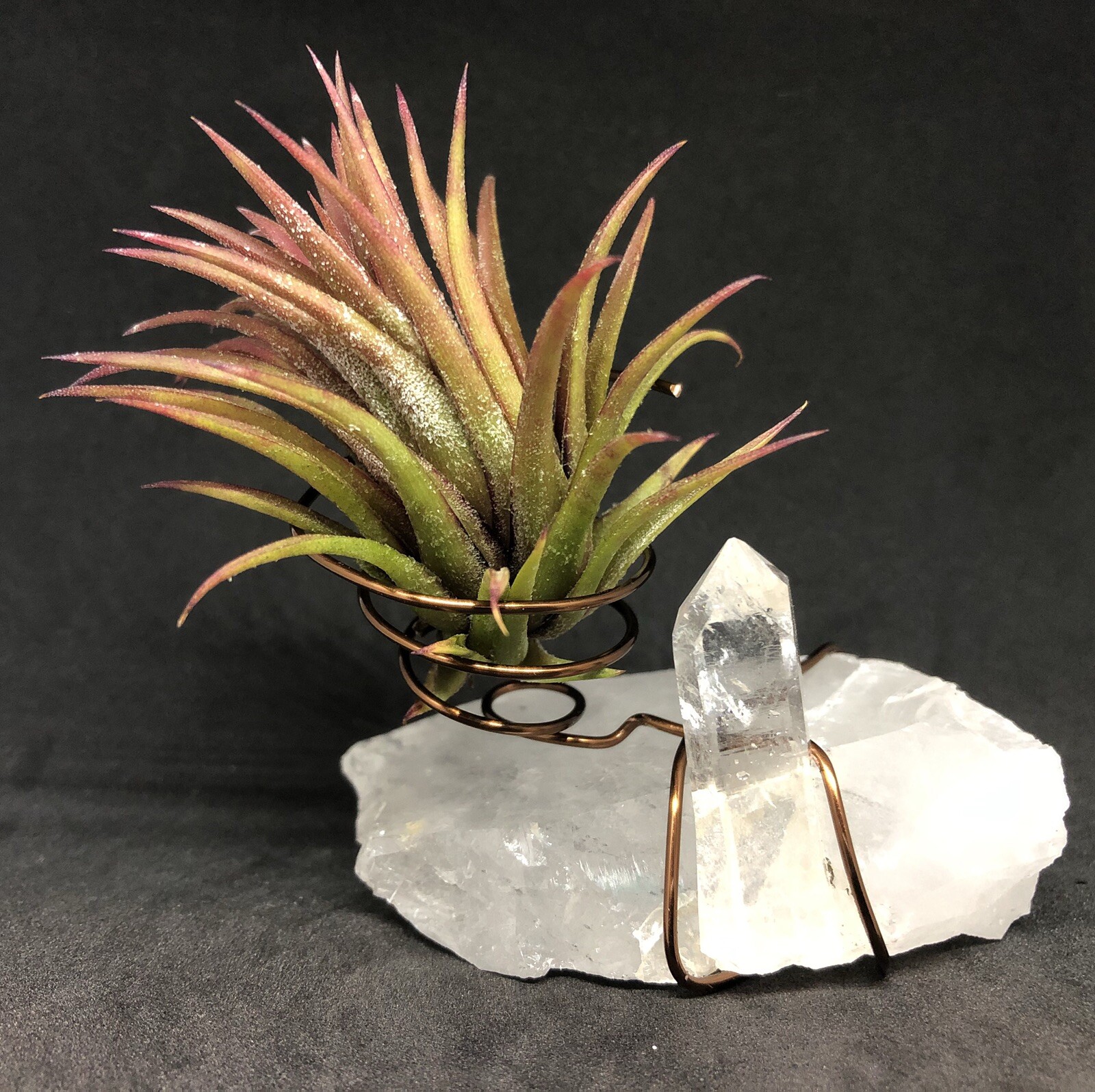 Quartz Crystal Air Planter, Reiki, Air Purifying Plant