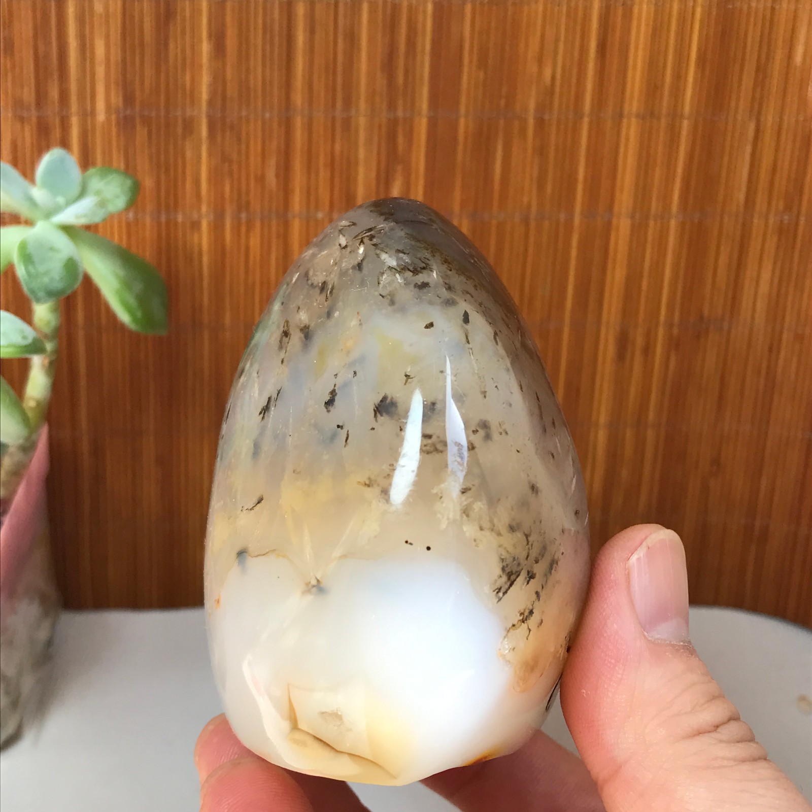 77-74-50mm Natural aquatic plants agate pretty Crystal specimens 433g A1877
