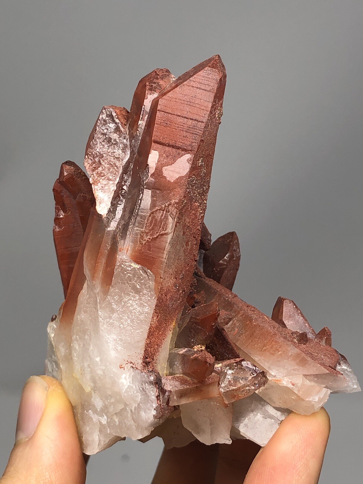 Red Quartz Tabular Wand Crystal Cluster Point Morocco 6.2oz N34