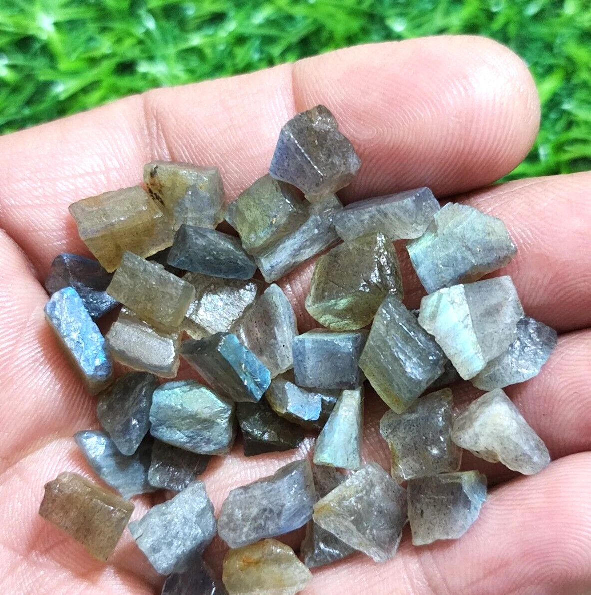 117 Crt Excellent Rare Multi Fire Labradorite Rough Size 8-11 MM Loose Gemstone