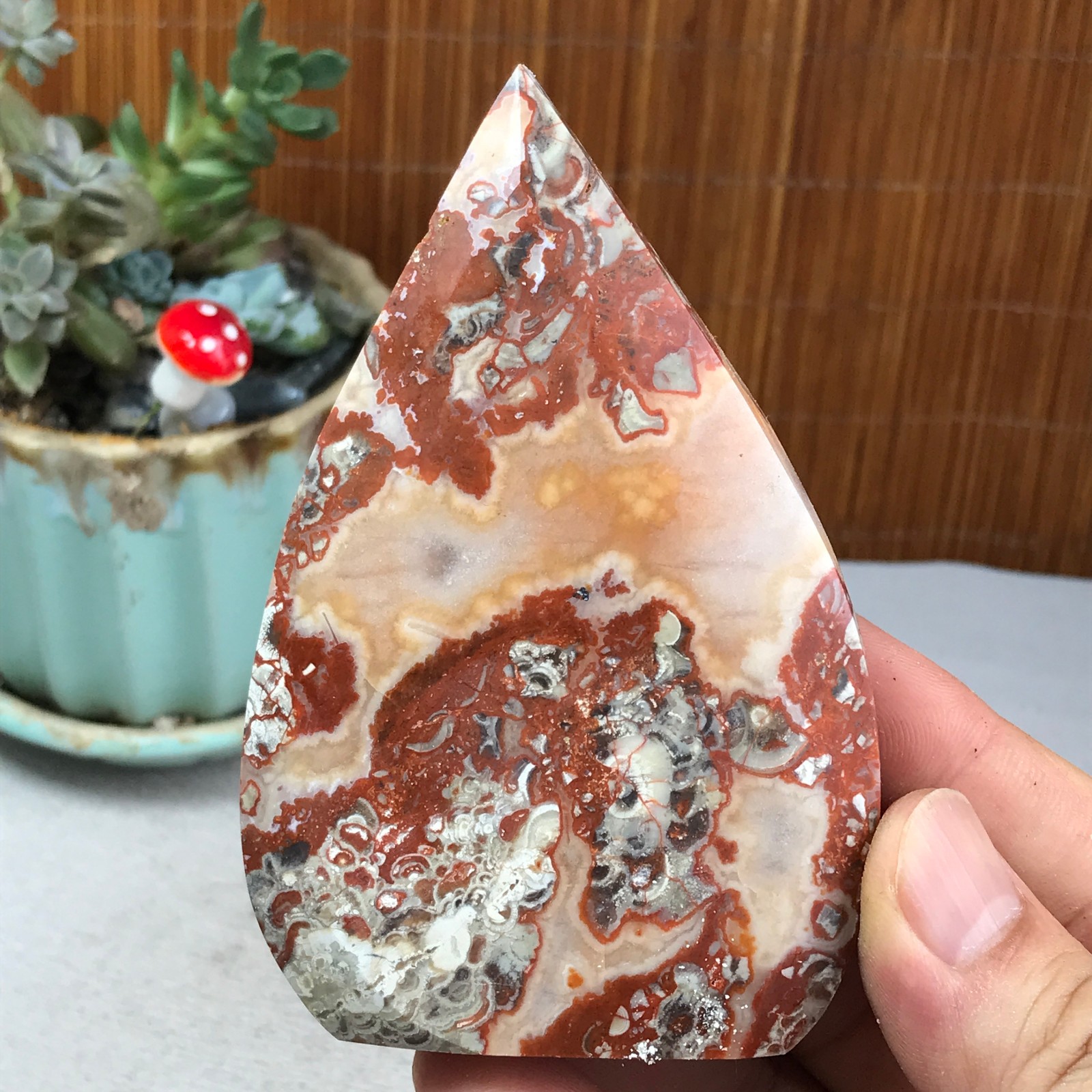 Natural money Mexico agate hand carve leaf Crystal Specimen free standing A6263