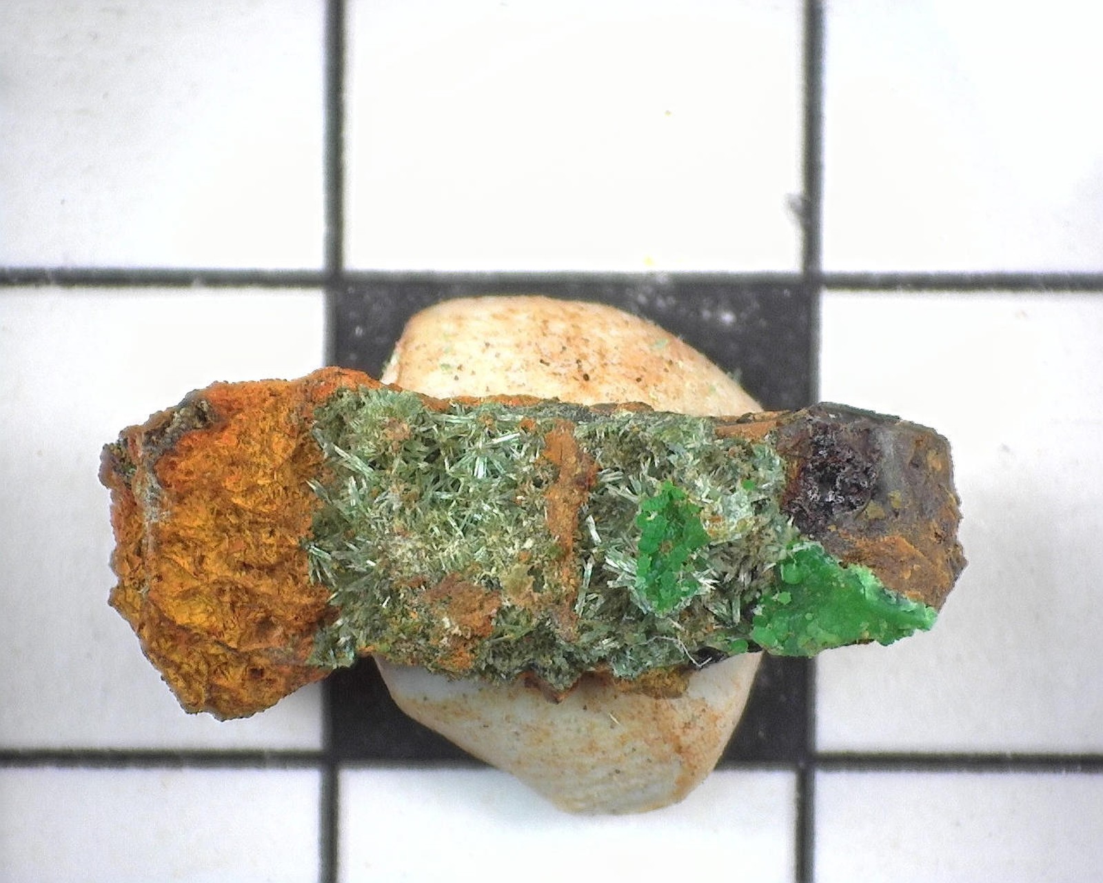 20426 MM Olivenite Conichalcite Lavreotiki East Attica Attica Greece 14187