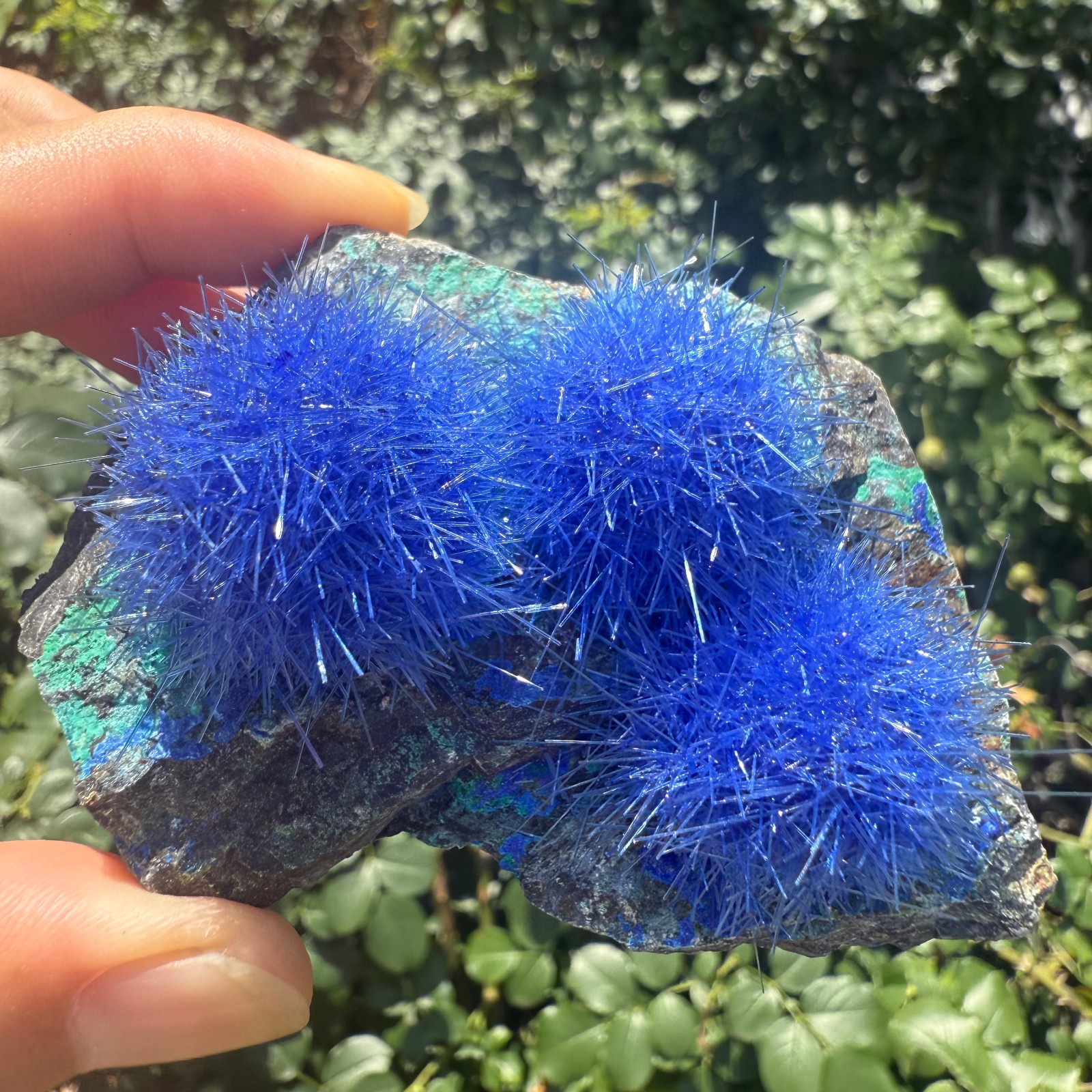 Raw Rough Dandelion Zeolite Cluster Blue Cave Quartz Crystal Specimen Decoration