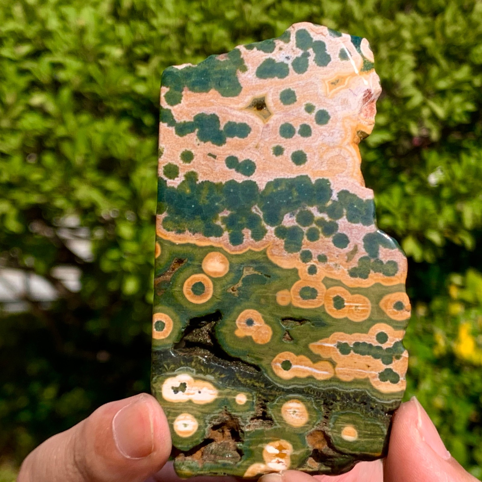 82G Natural Ocean Jasper Crystal SliceLarge Specimen Healing- Museum