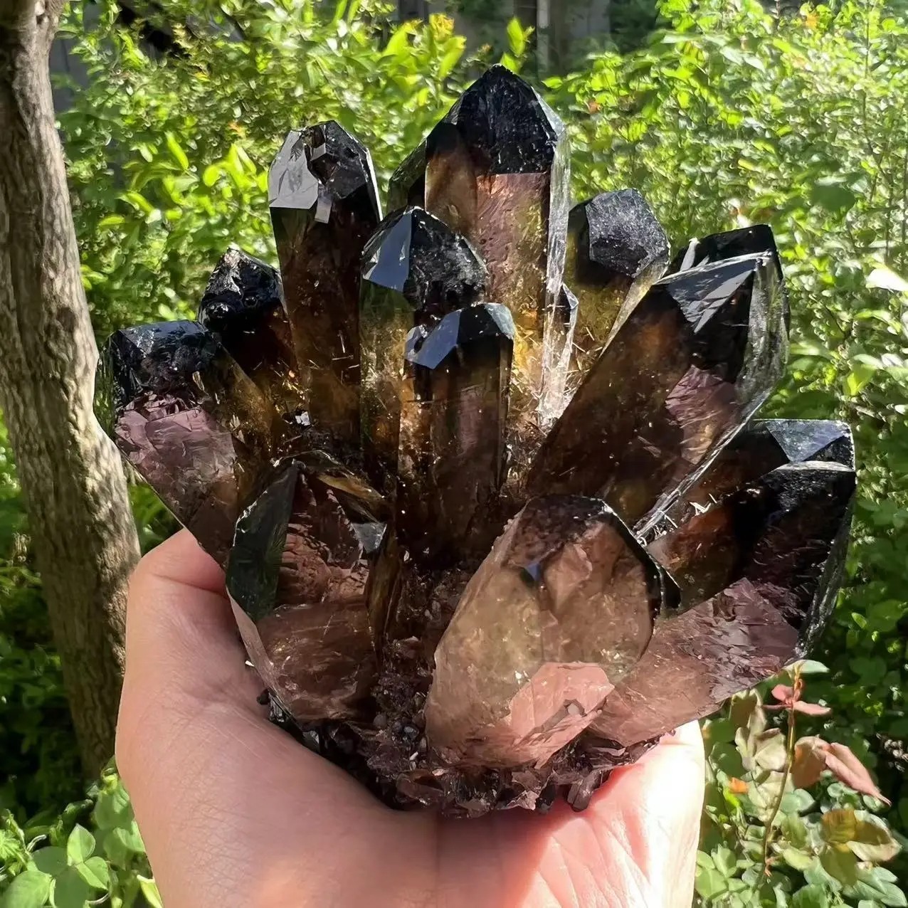 2025 300G New Find Large Smoky Quartz Crystal Healing Cluster Rocks Specimens